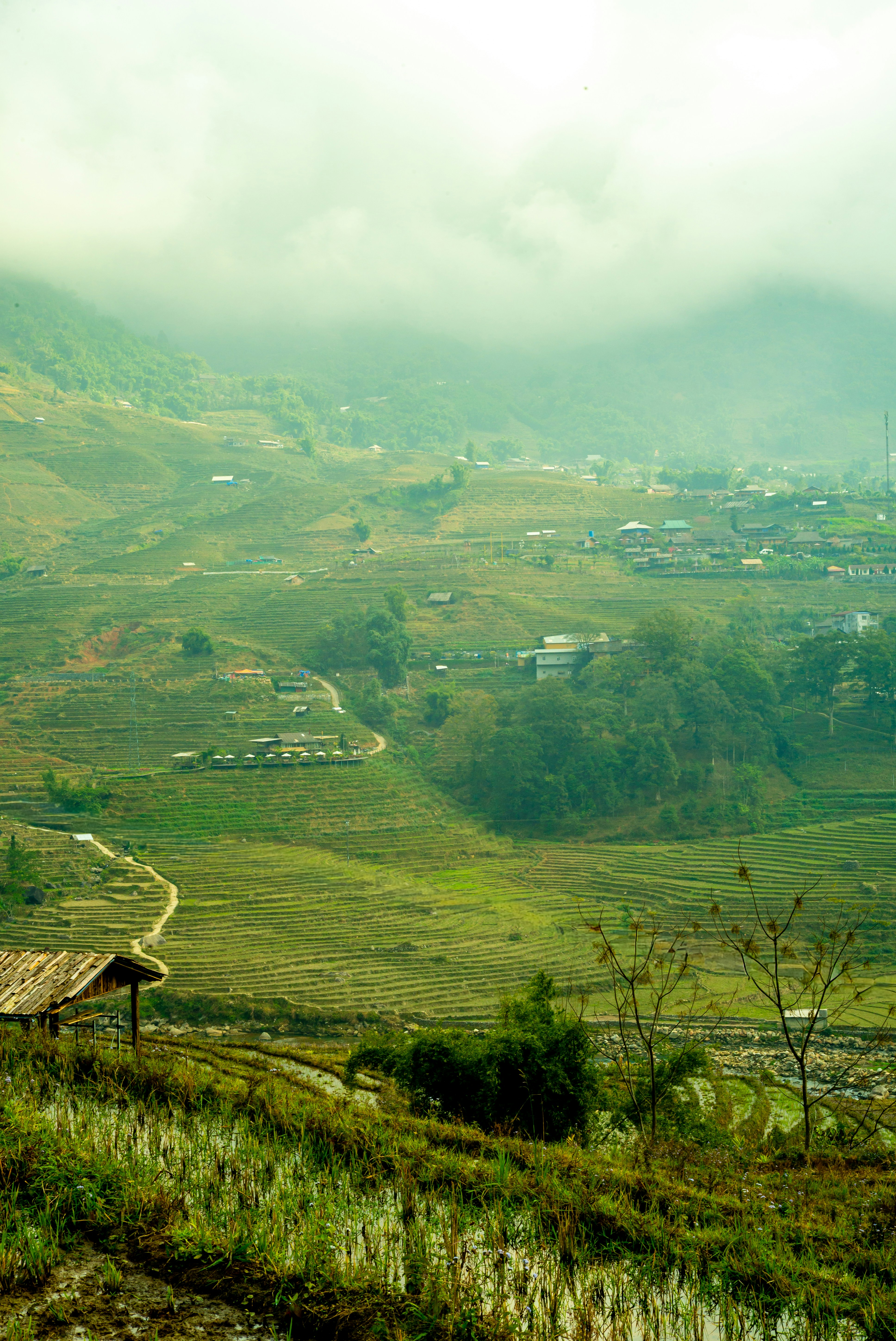 Photo by donguyenkhanhs