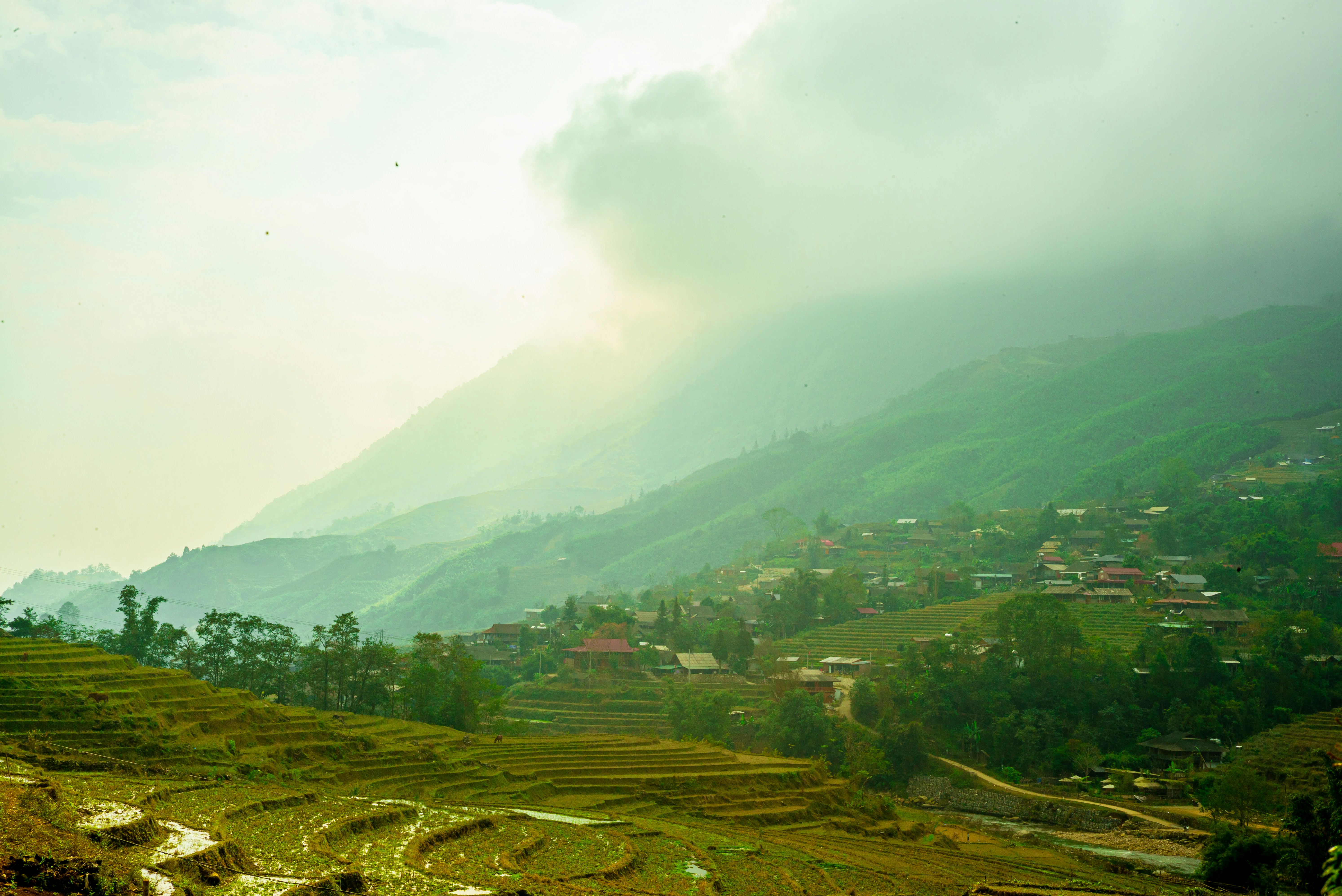 Photo by donguyenkhanhs