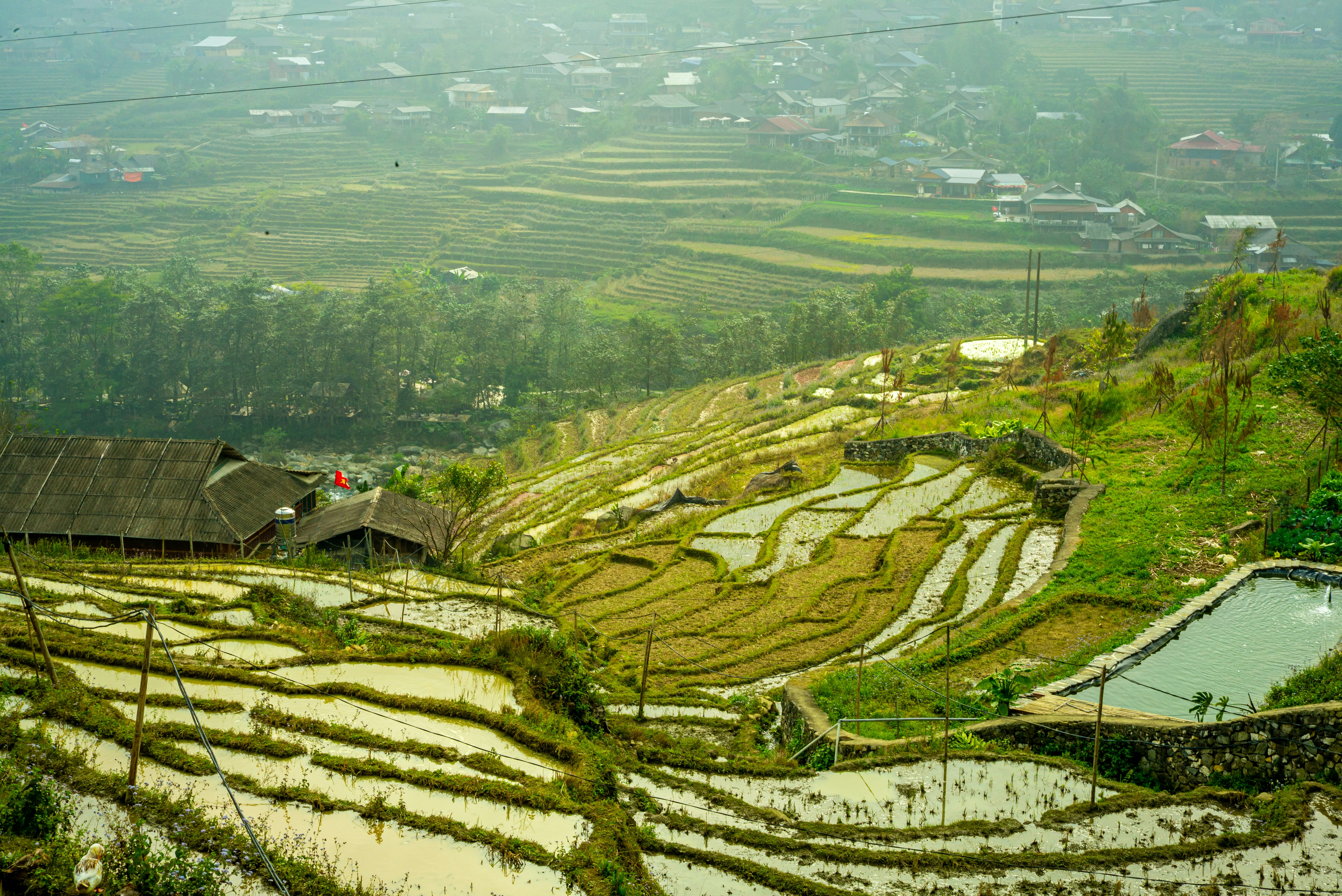 Photo by donguyenkhanhs