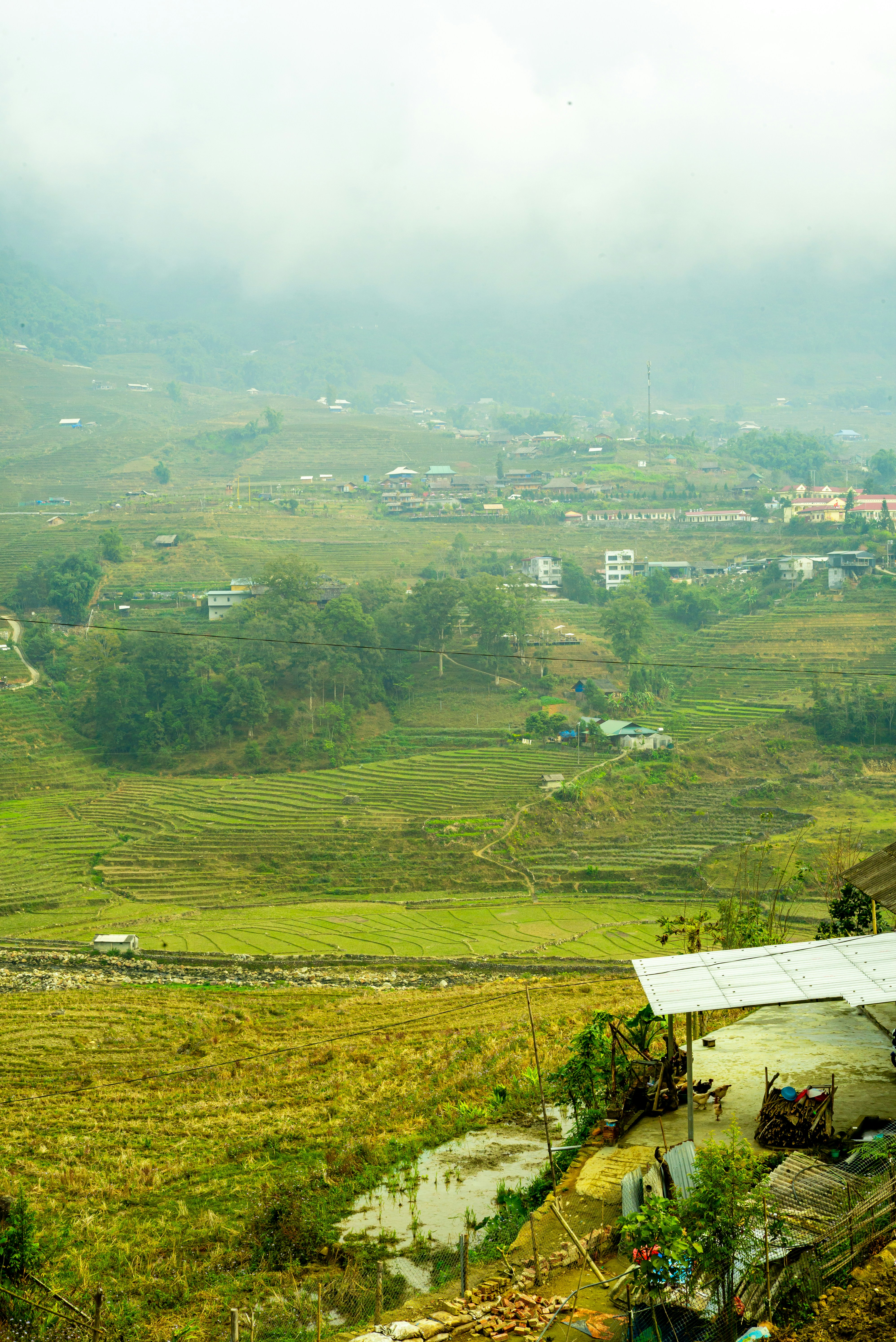 Photo by donguyenkhanhs