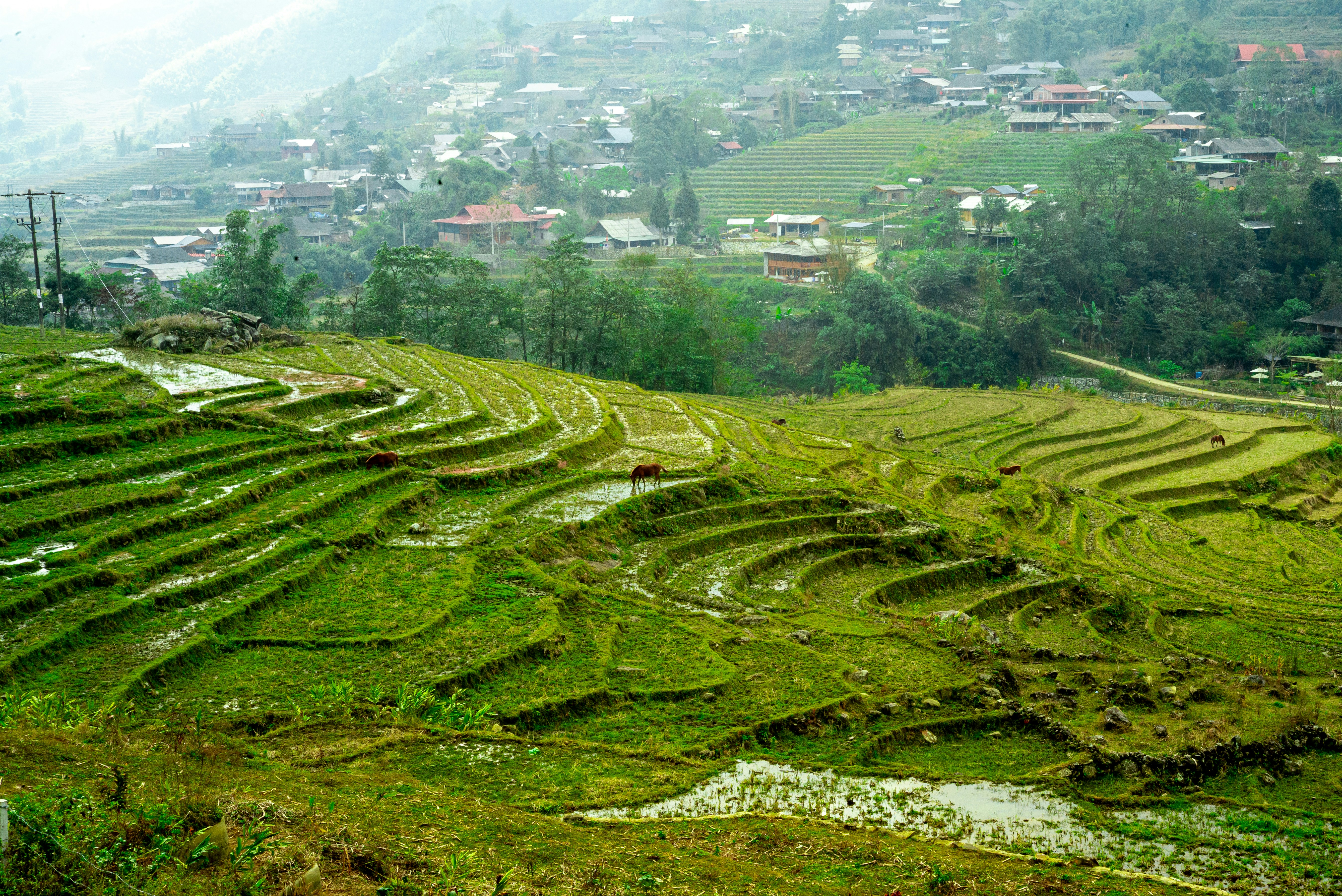 Photo by donguyenkhanhs