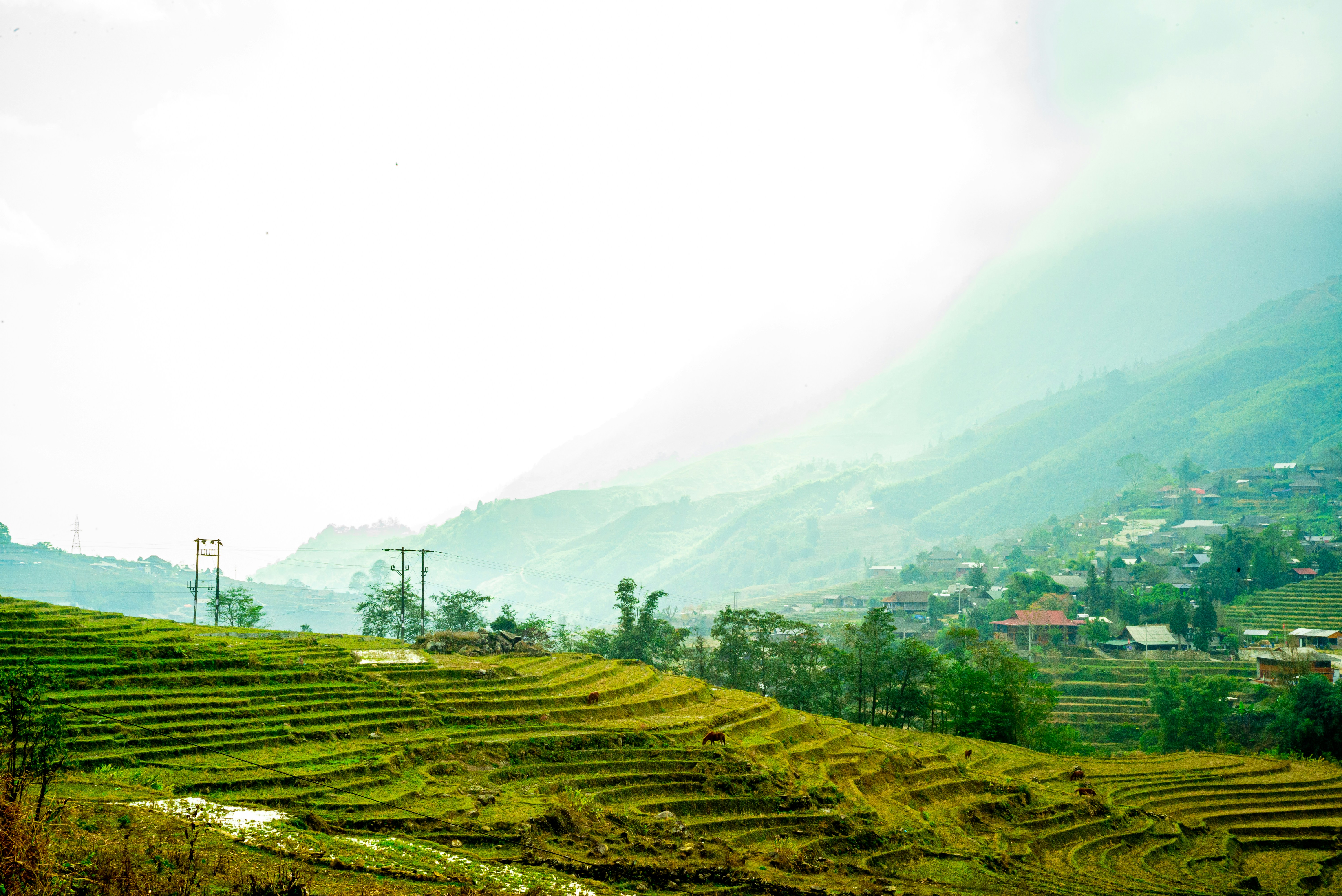 Photo by donguyenkhanhs