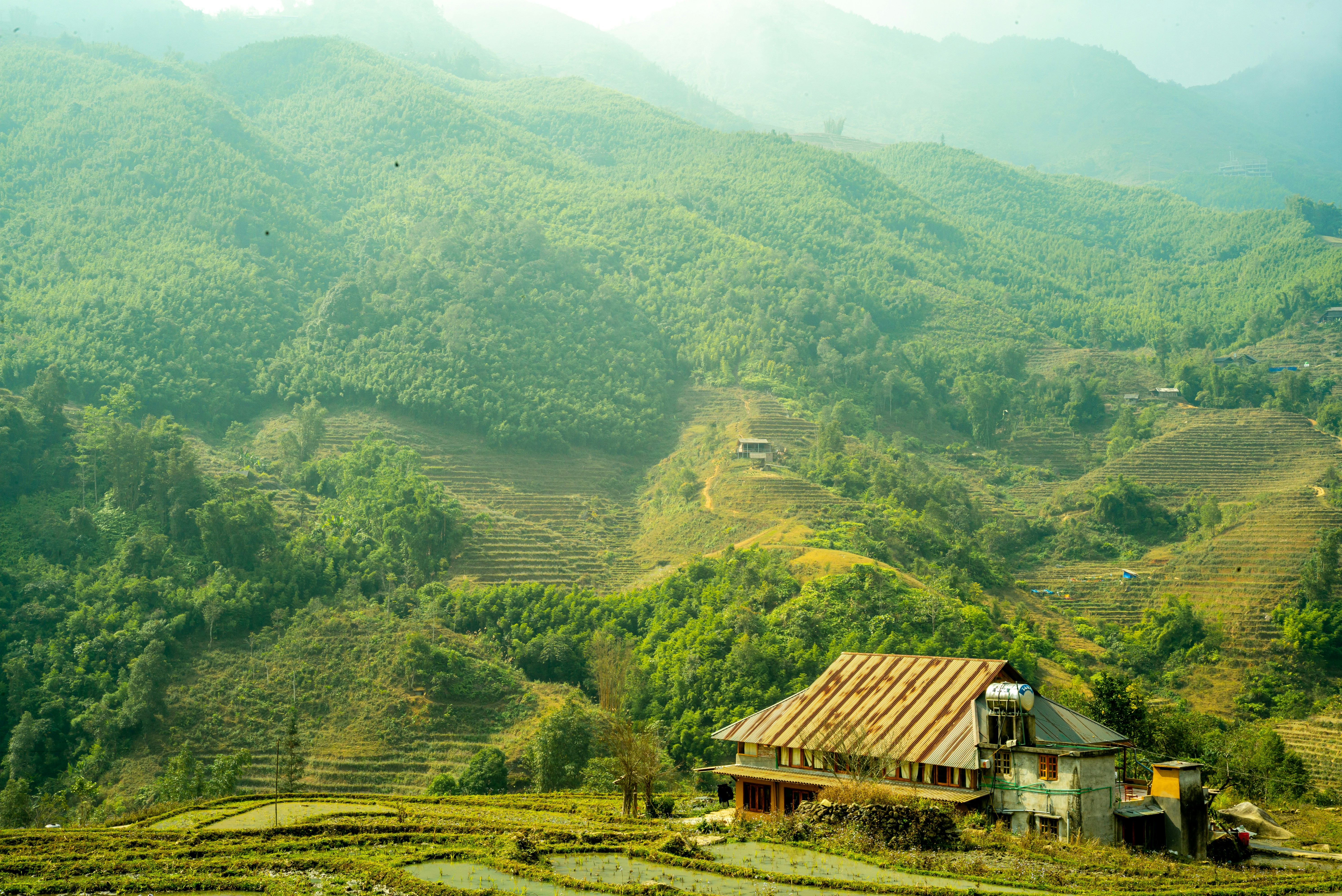 Photo by donguyenkhanhs