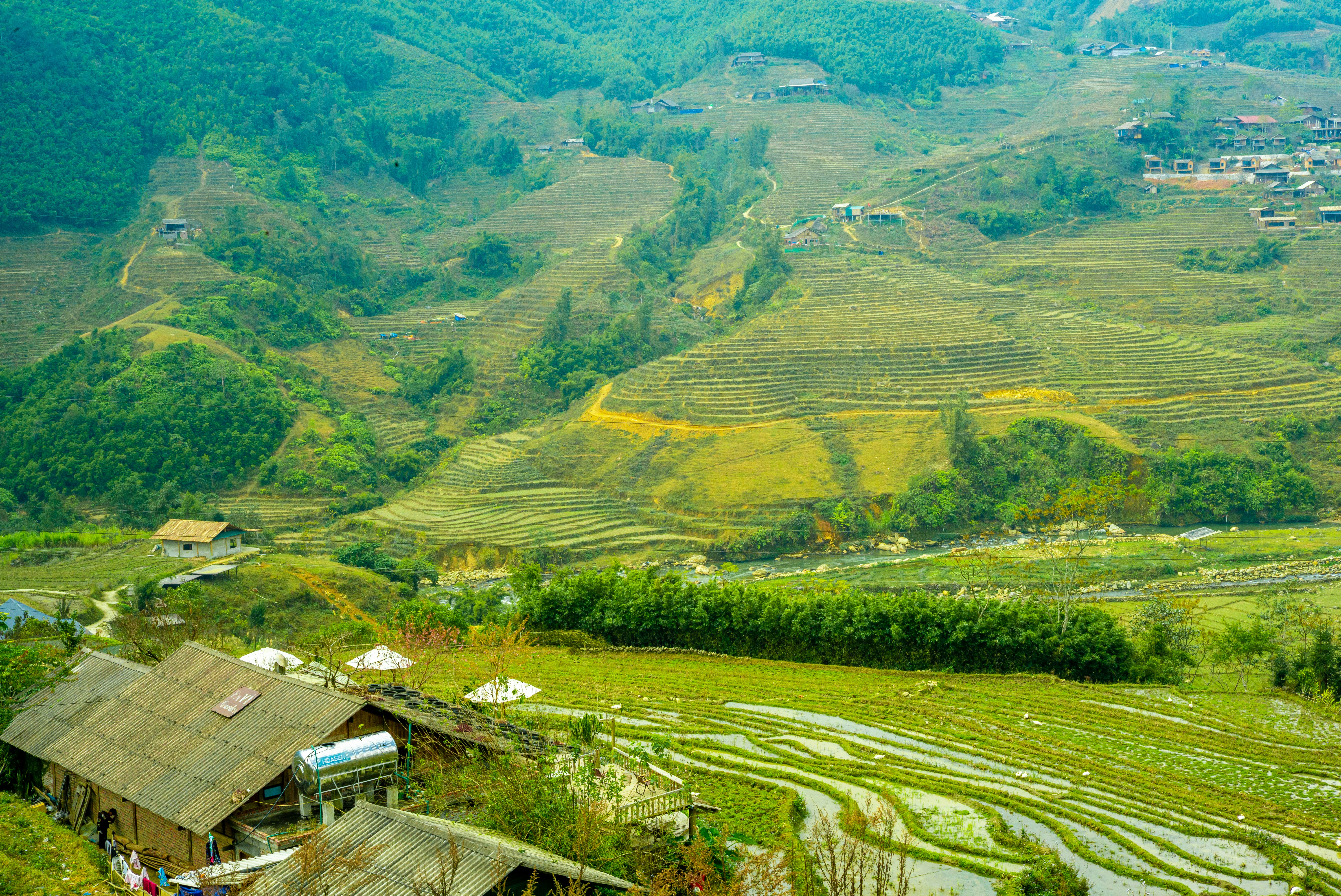 Photo by donguyenkhanhs