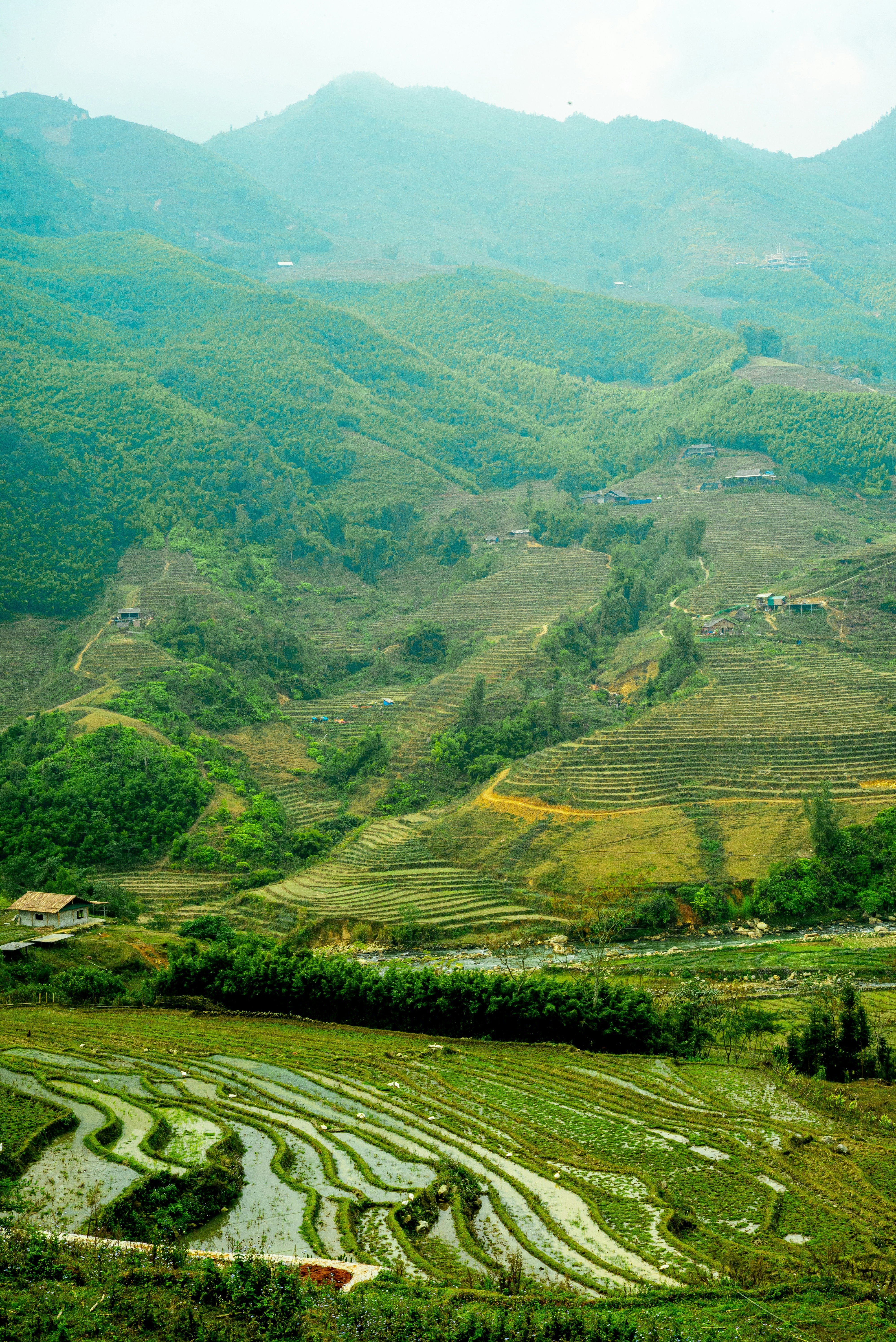 Photo by donguyenkhanhs