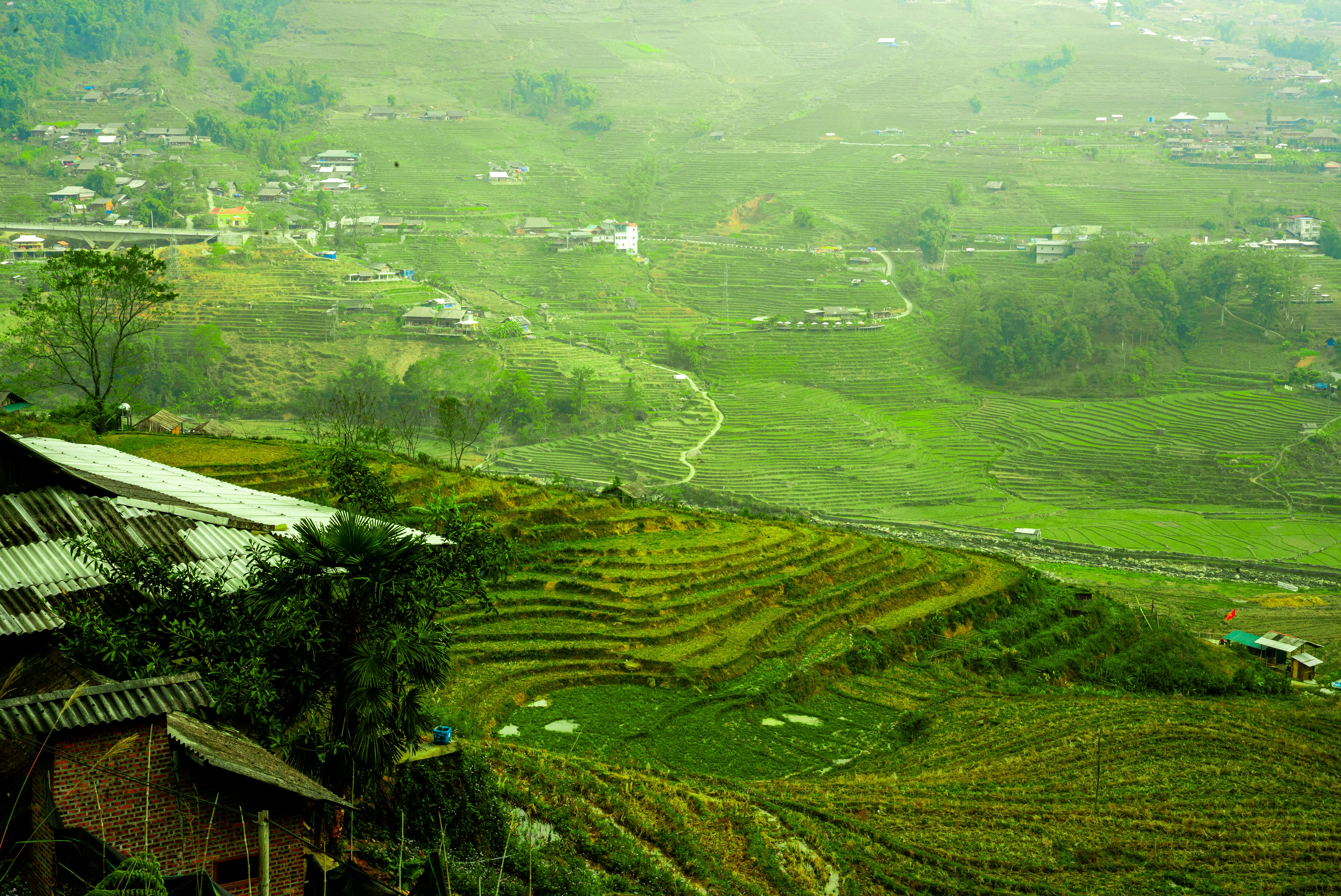 Photo by donguyenkhanhs