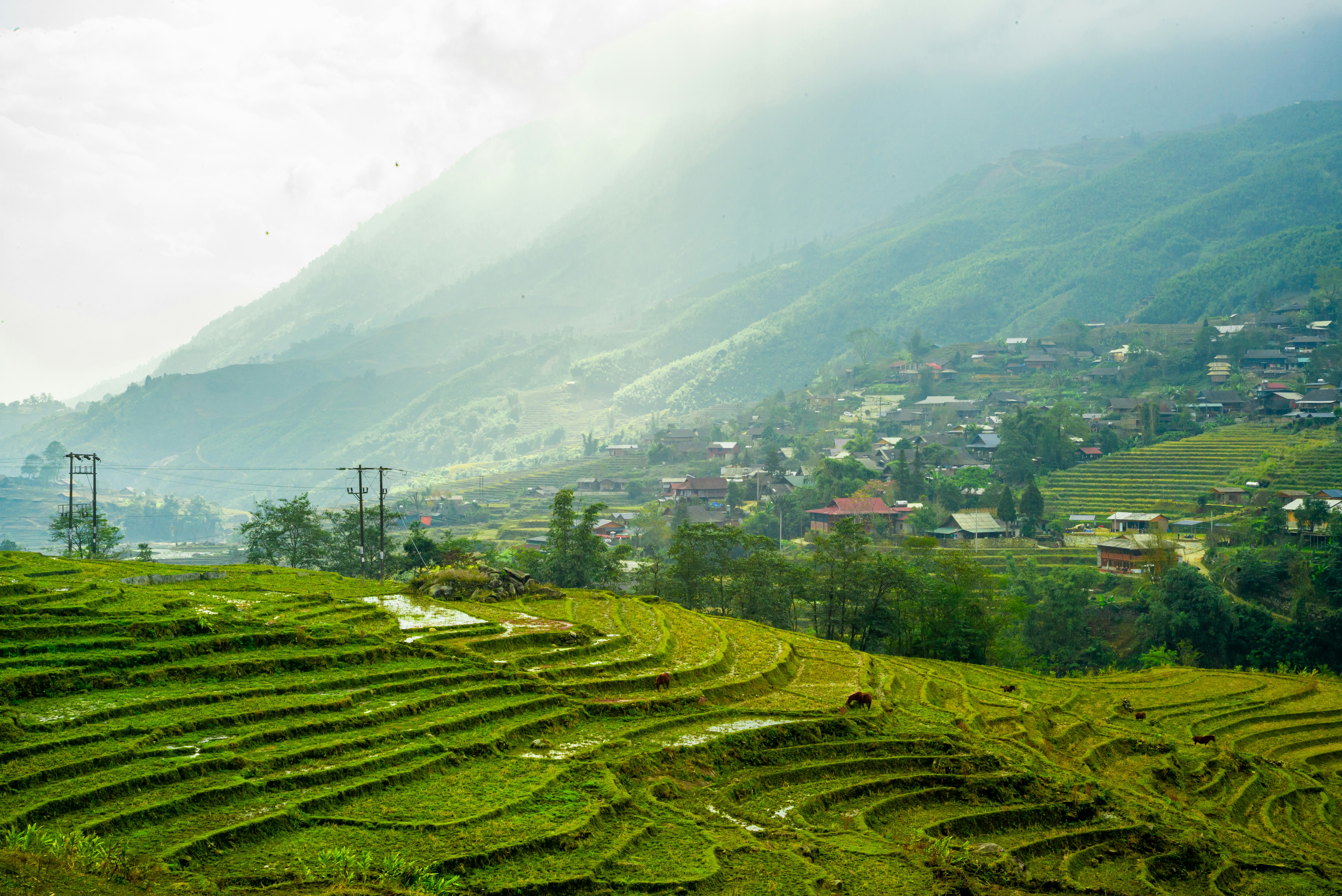 Photo by donguyenkhanhs