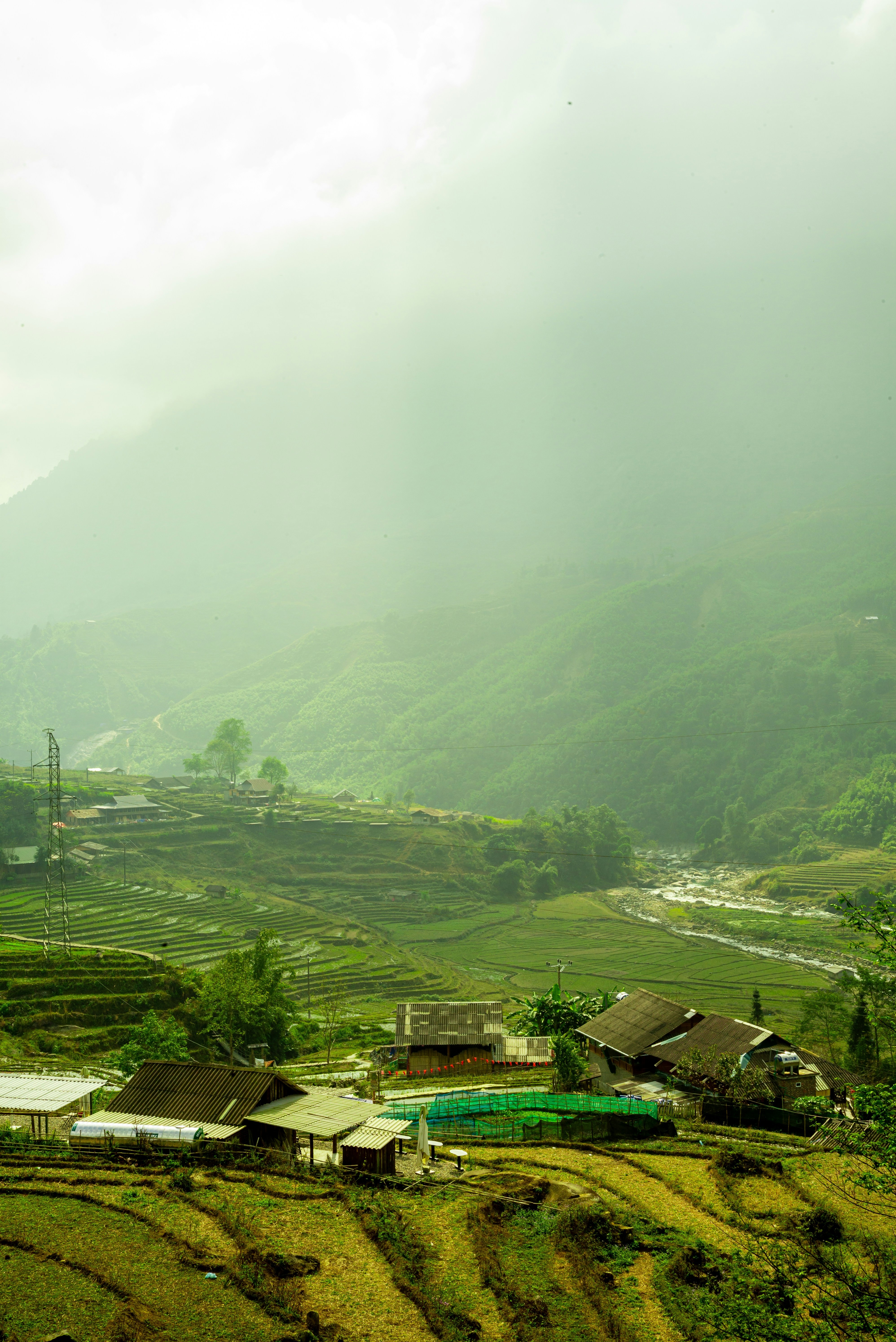 Photo by donguyenkhanhs