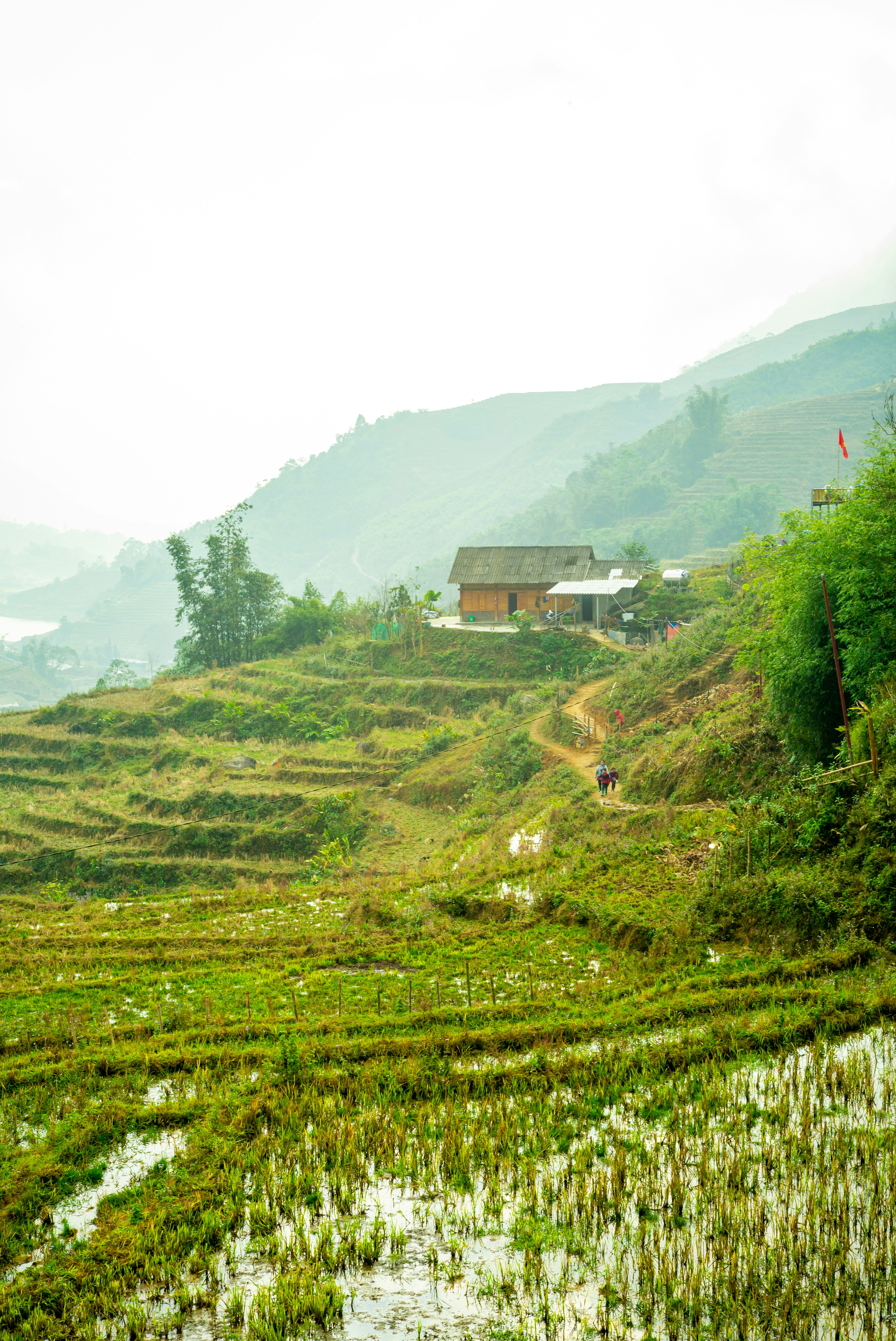 Photo by donguyenkhanhs