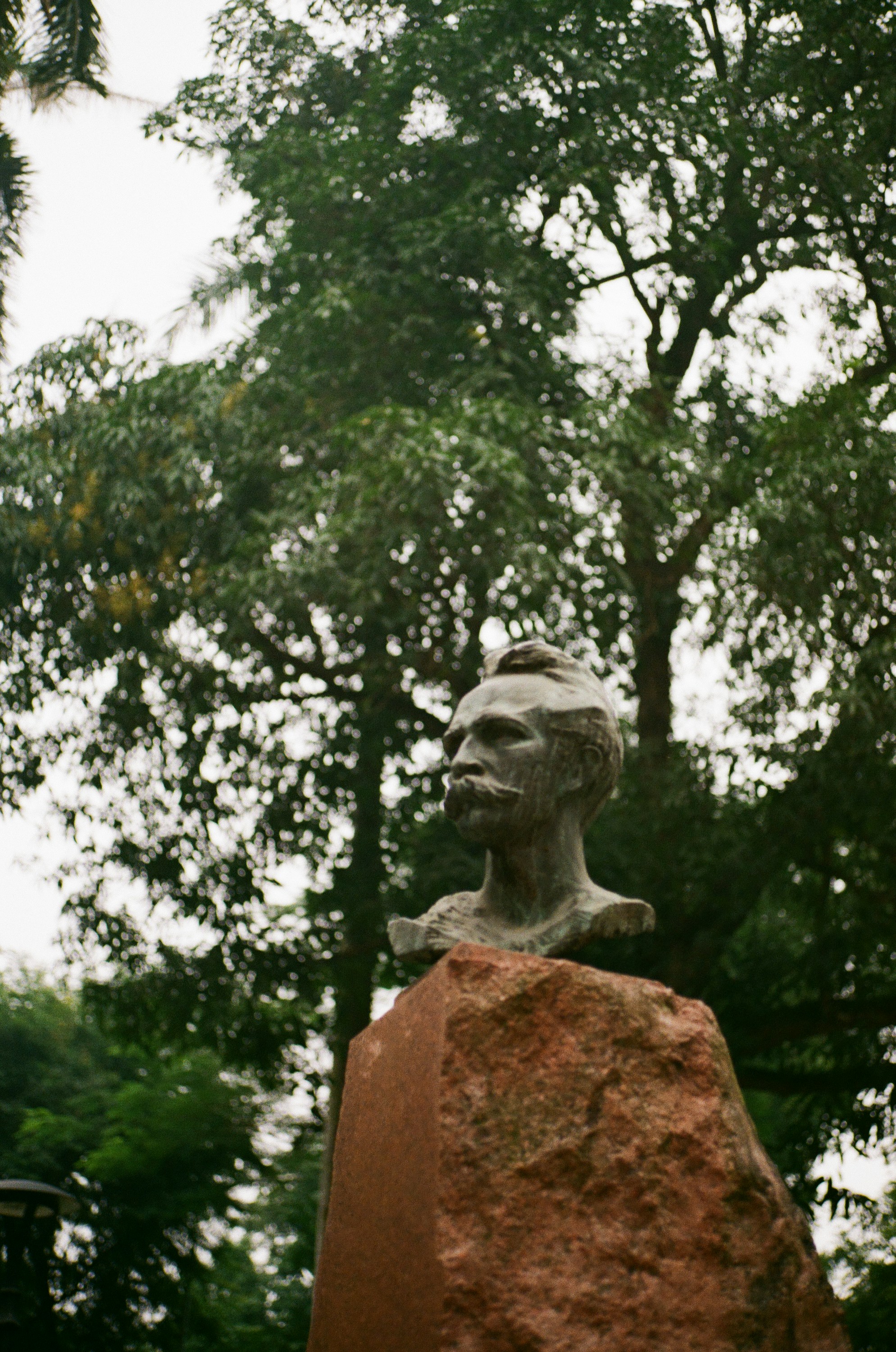 Photo by donguyenkhanhs