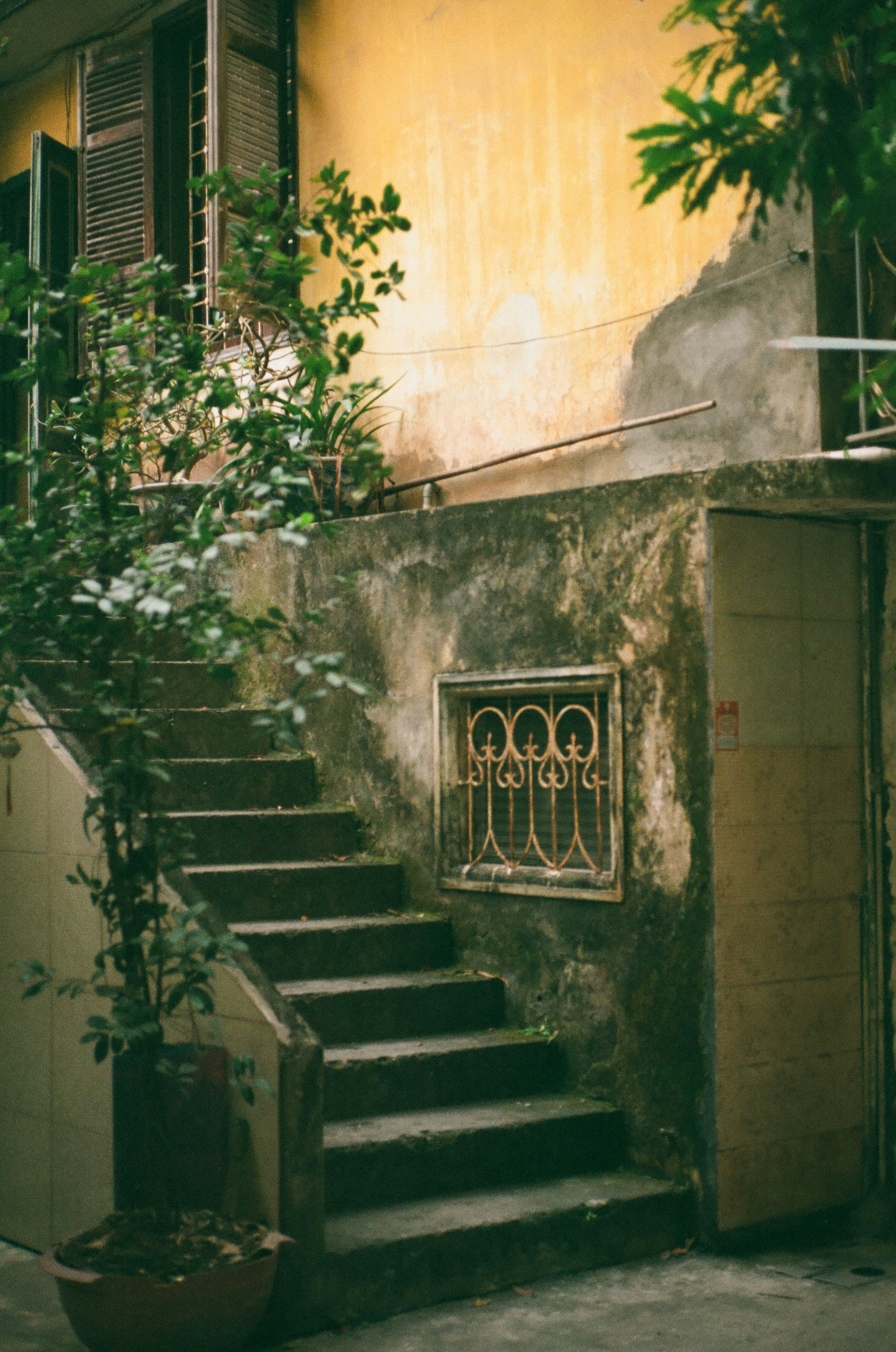 Photo by donguyenkhanhs