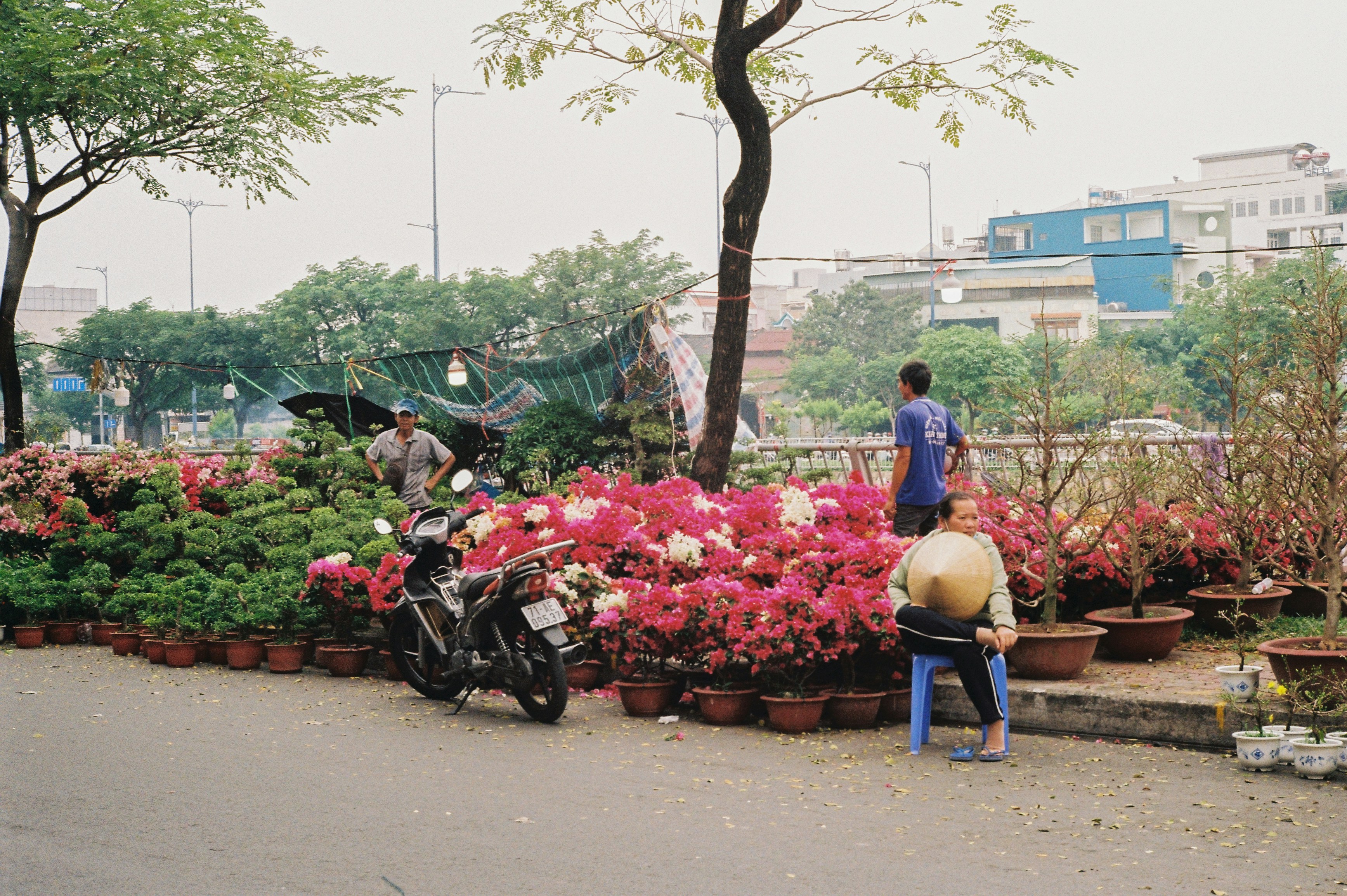 Vườn hoa Lý Tự Trọng