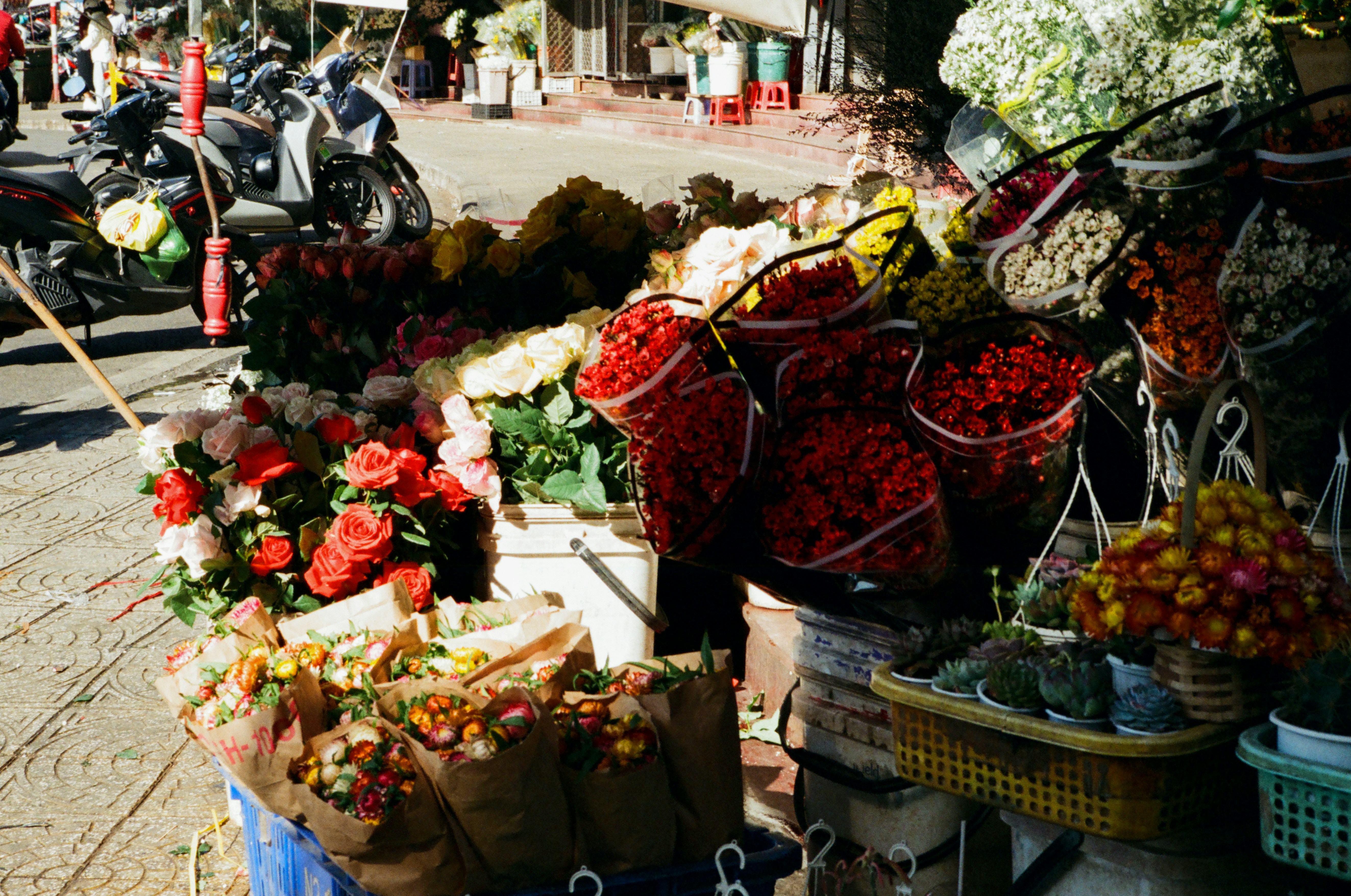 Photo by donguyenkhanhs