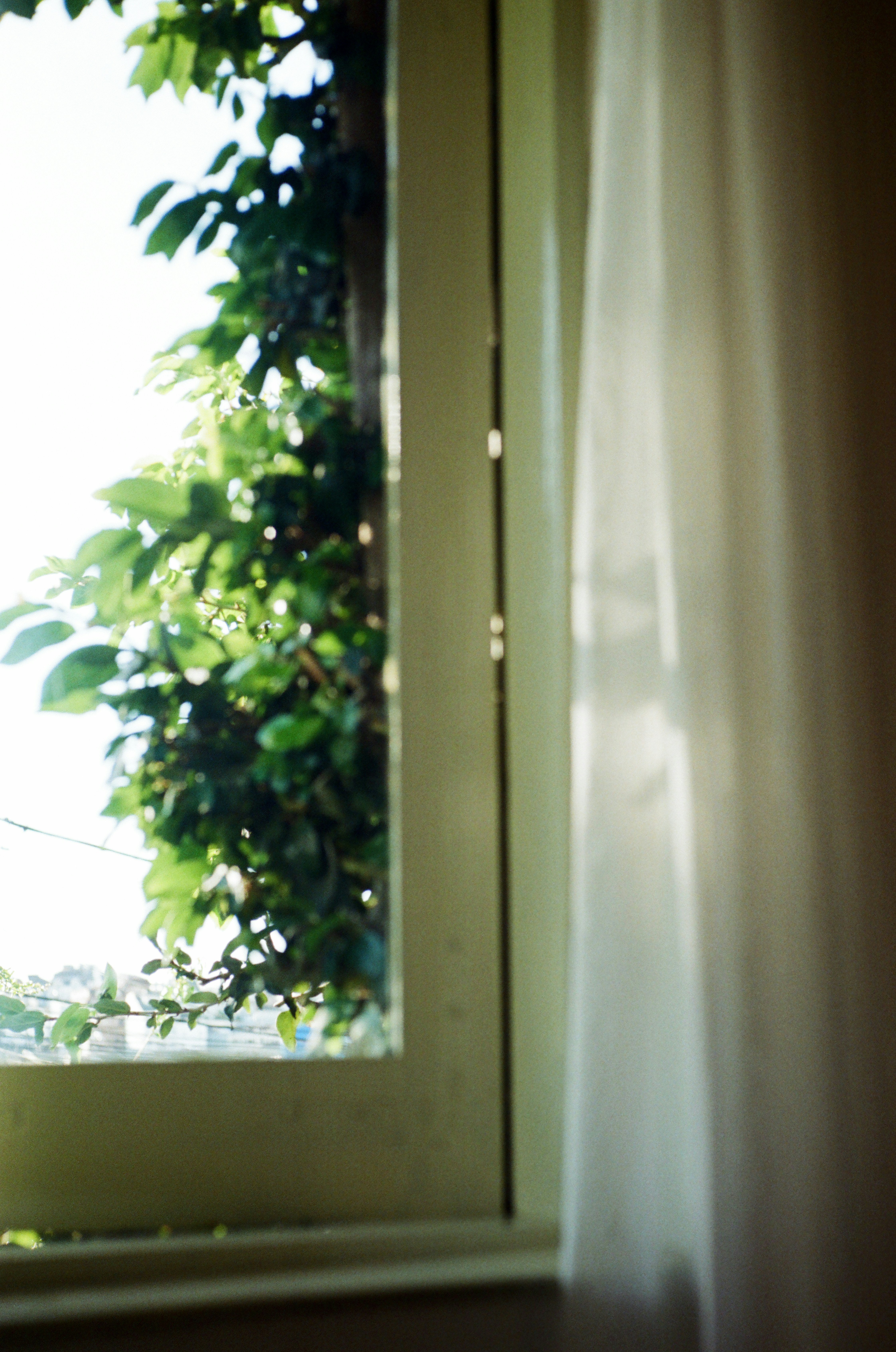 Photo by donguyenkhanhs