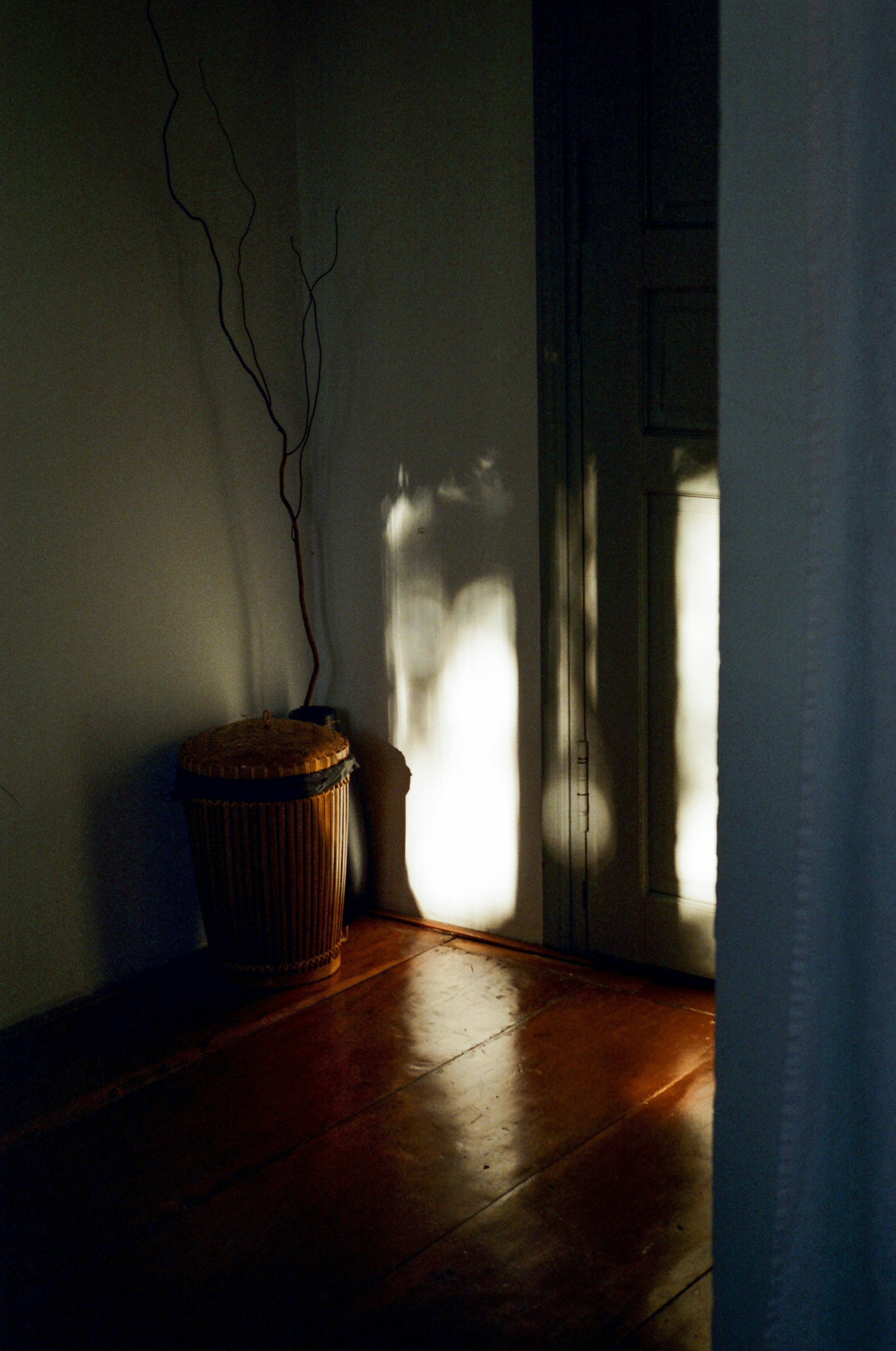 Photo by donguyenkhanhs