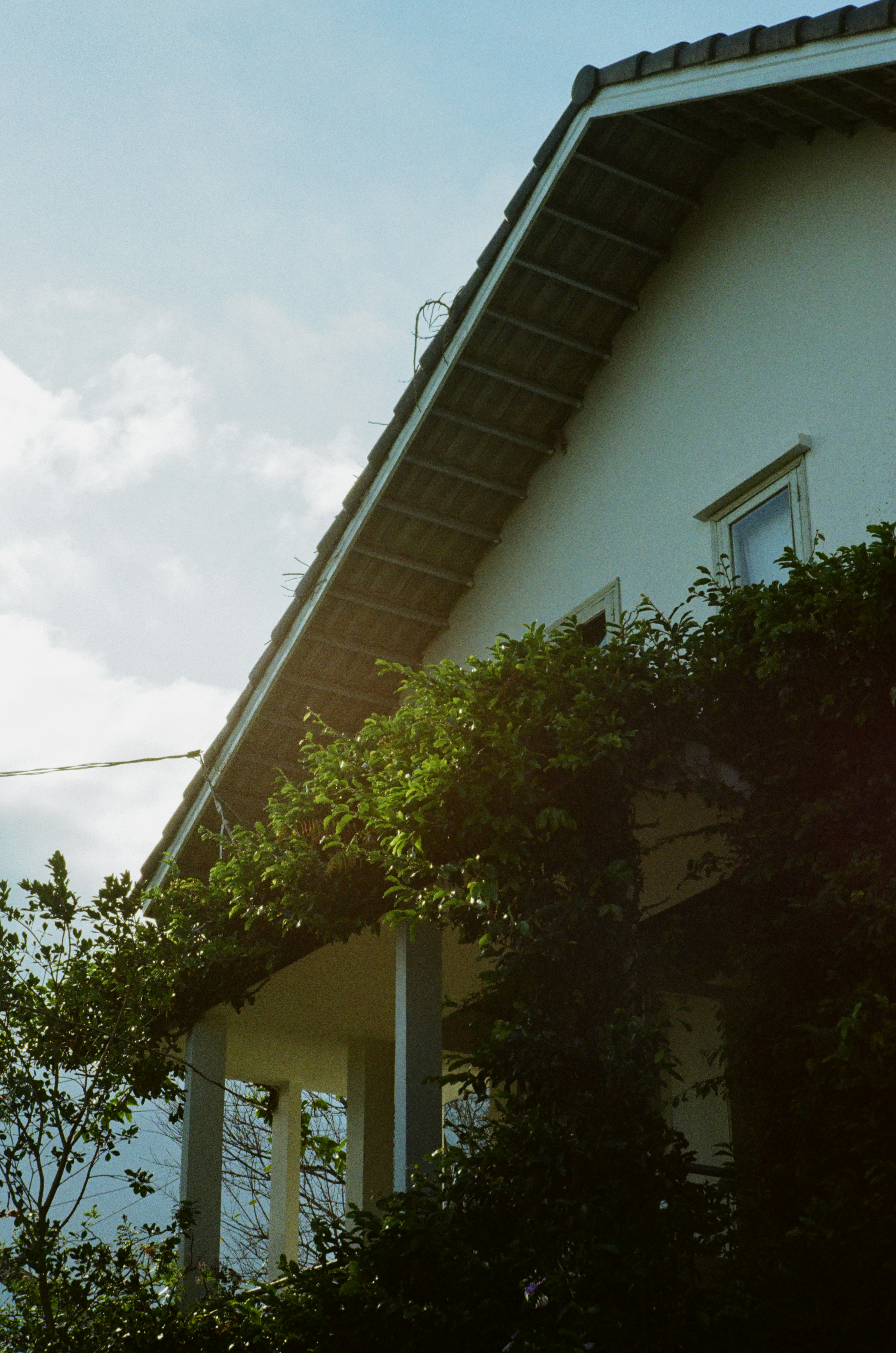 Photo by donguyenkhanhs