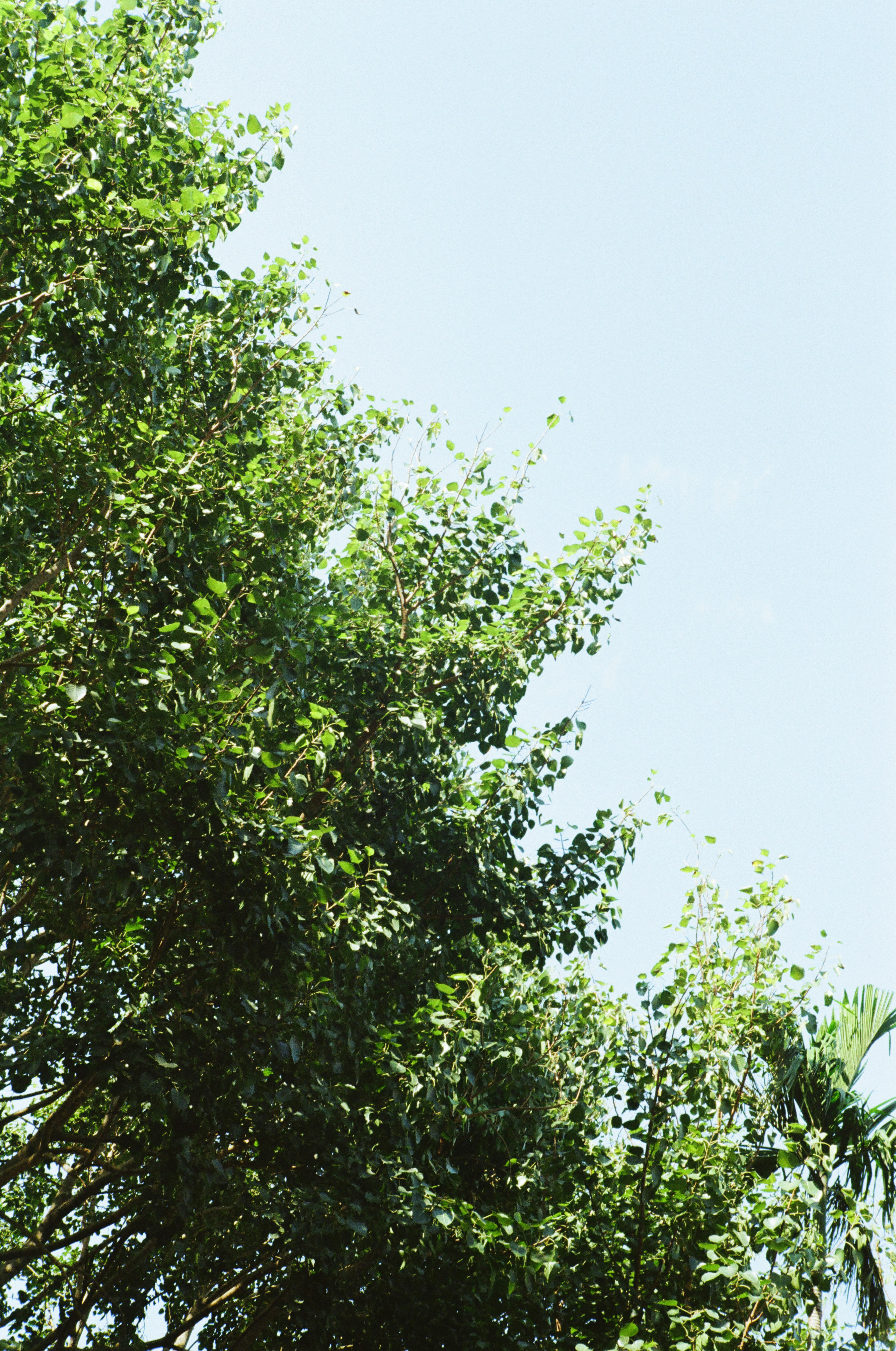 Photo by donguyenkhanhs