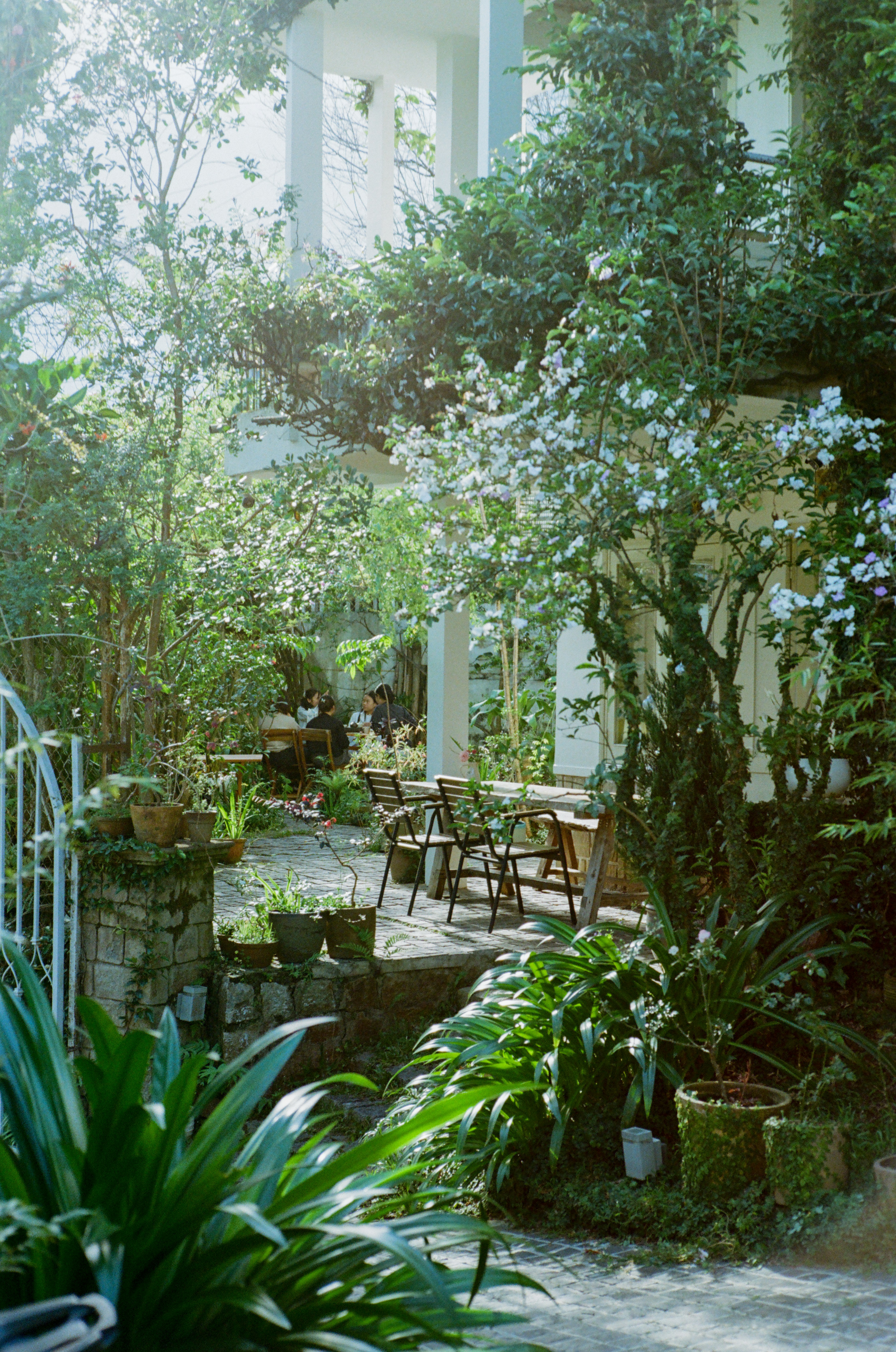 Photo by donguyenkhanhs