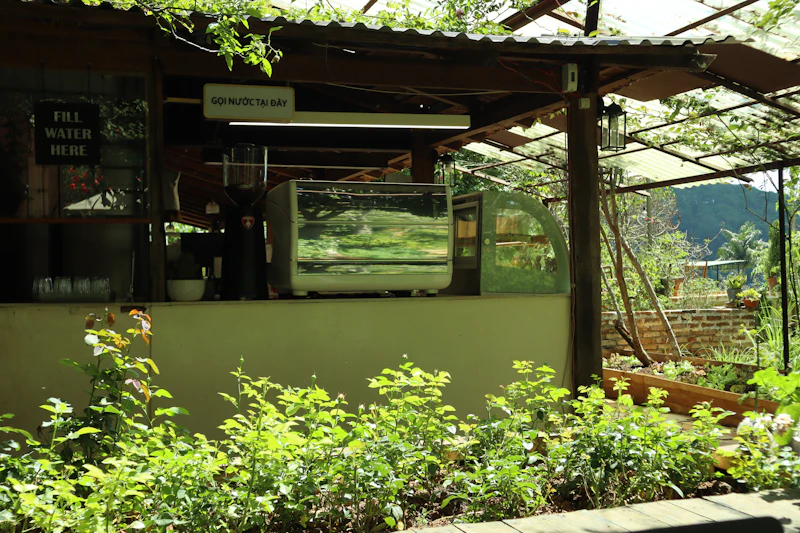 Best Places to Work From in Dalat: A Remote Worker's Guide