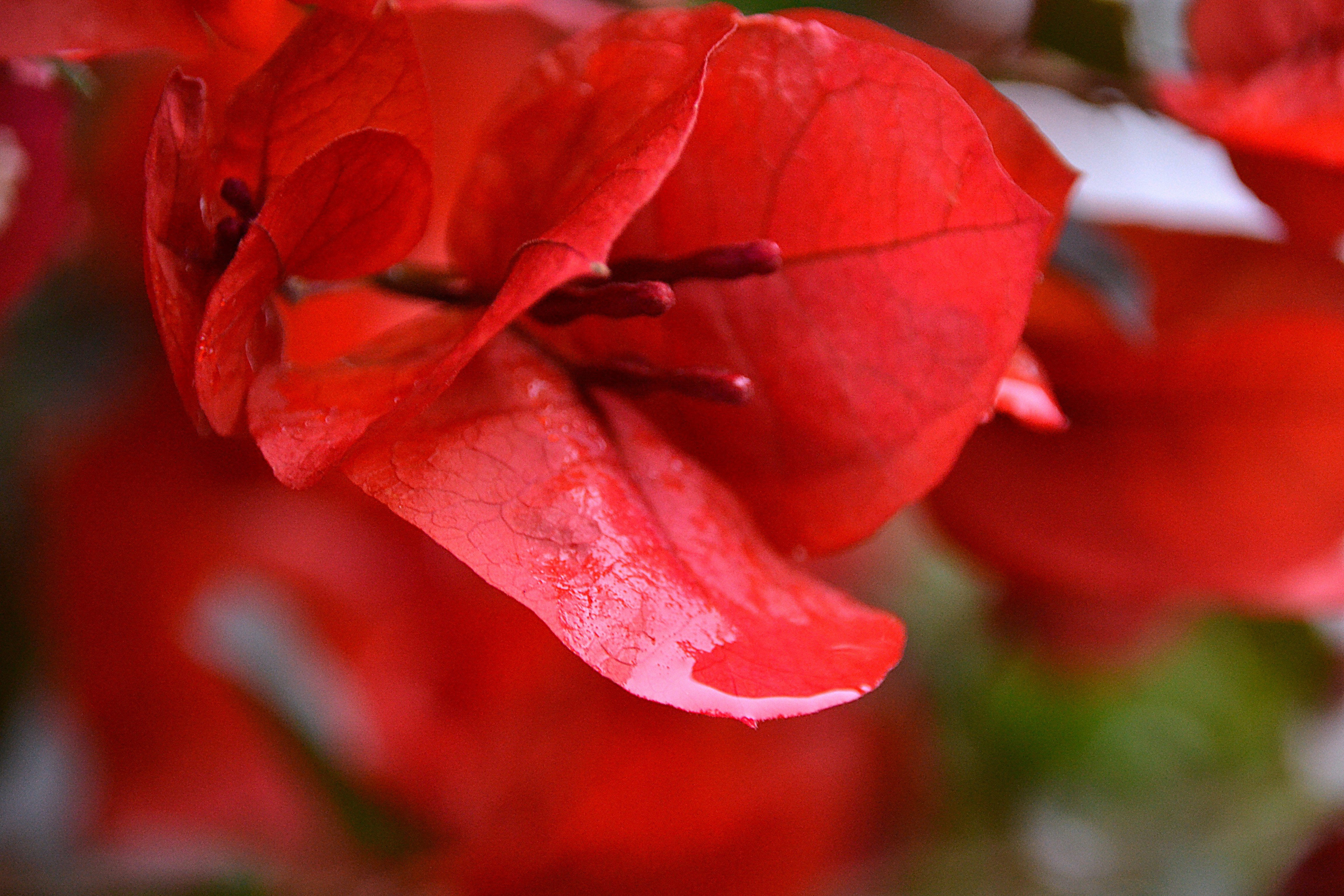 Photo by julia_topuria