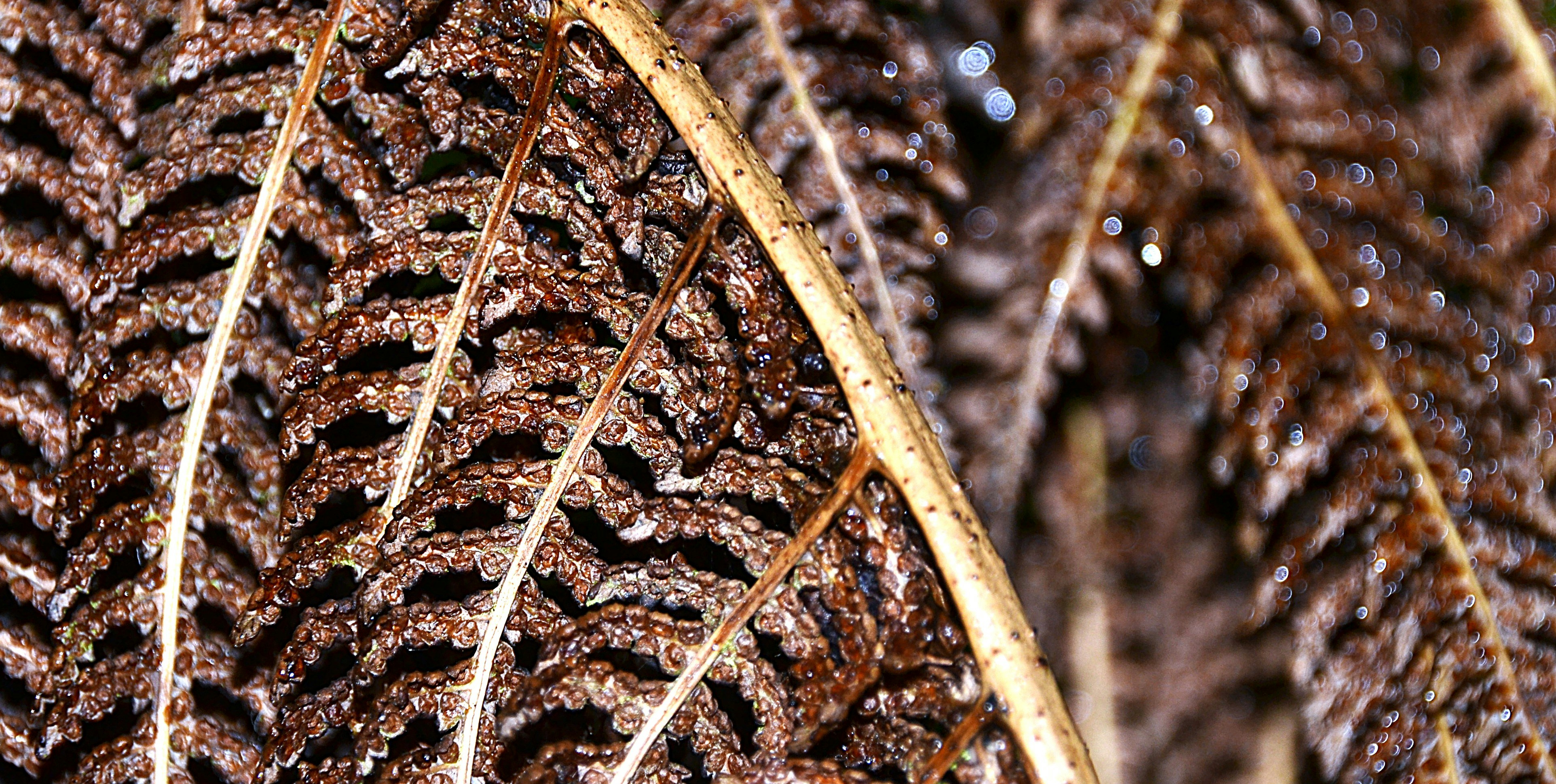 Photo by julia_topuria