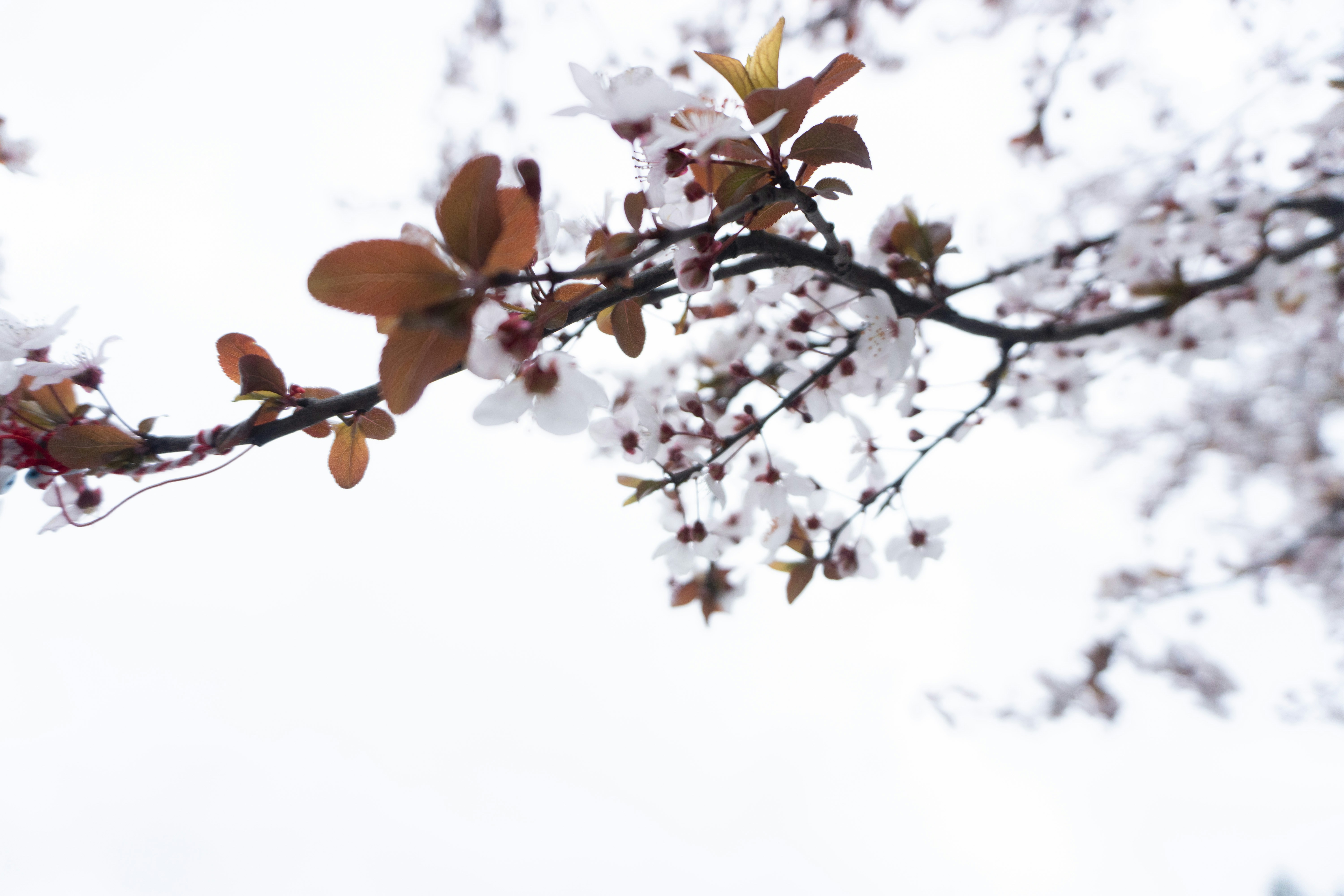 Photo by onurcanelma