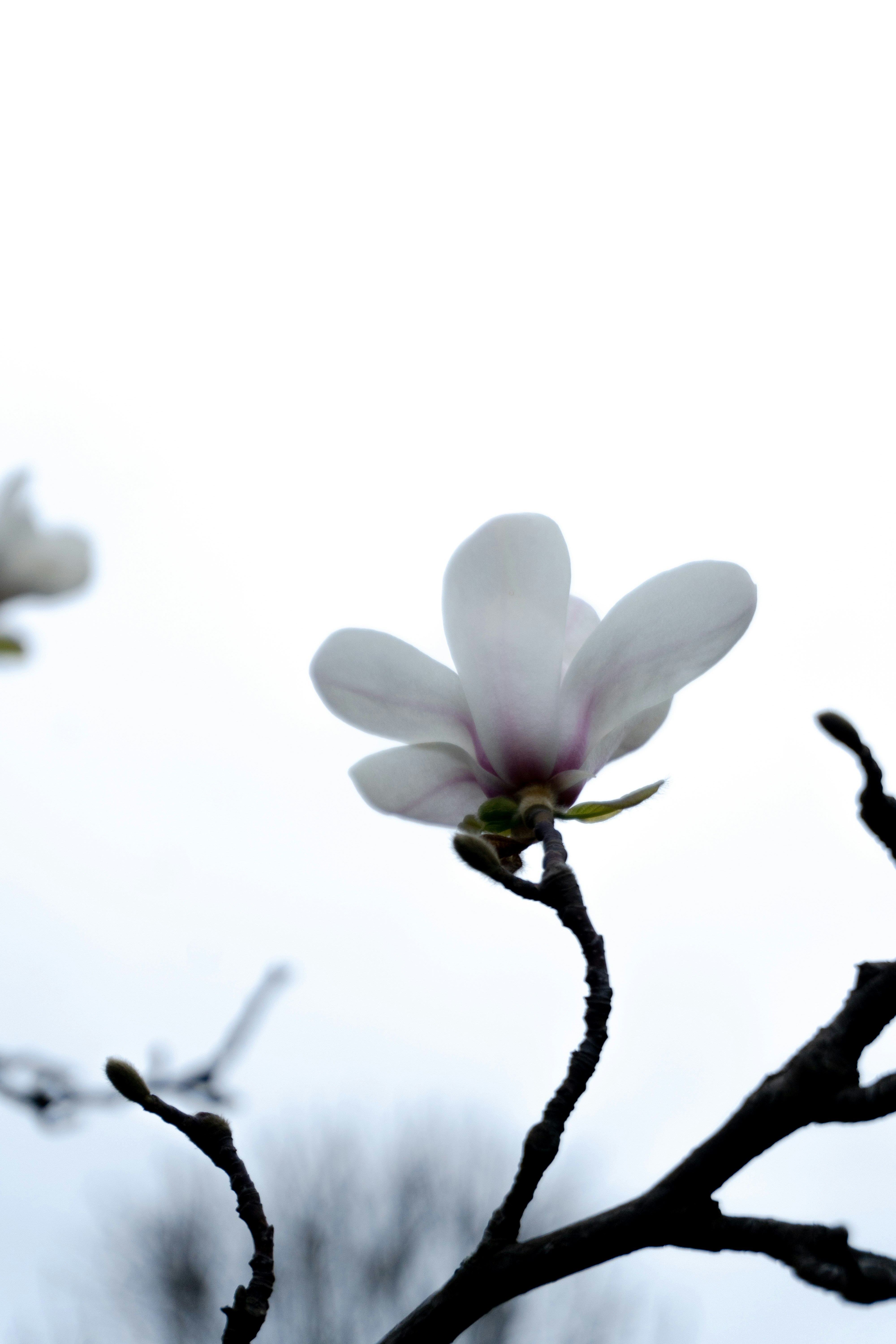 Photo by onurcanelma