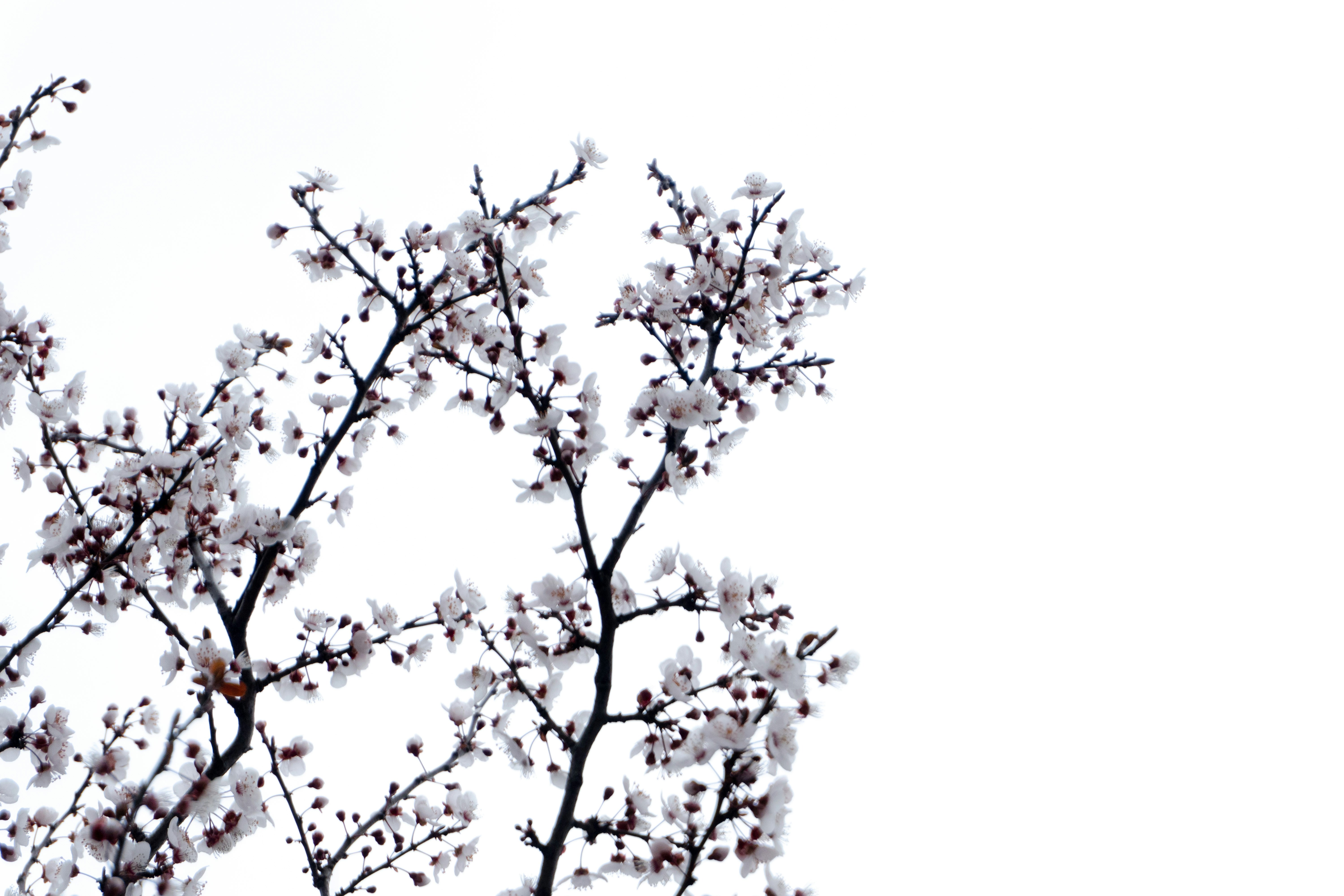 Photo by onurcanelma