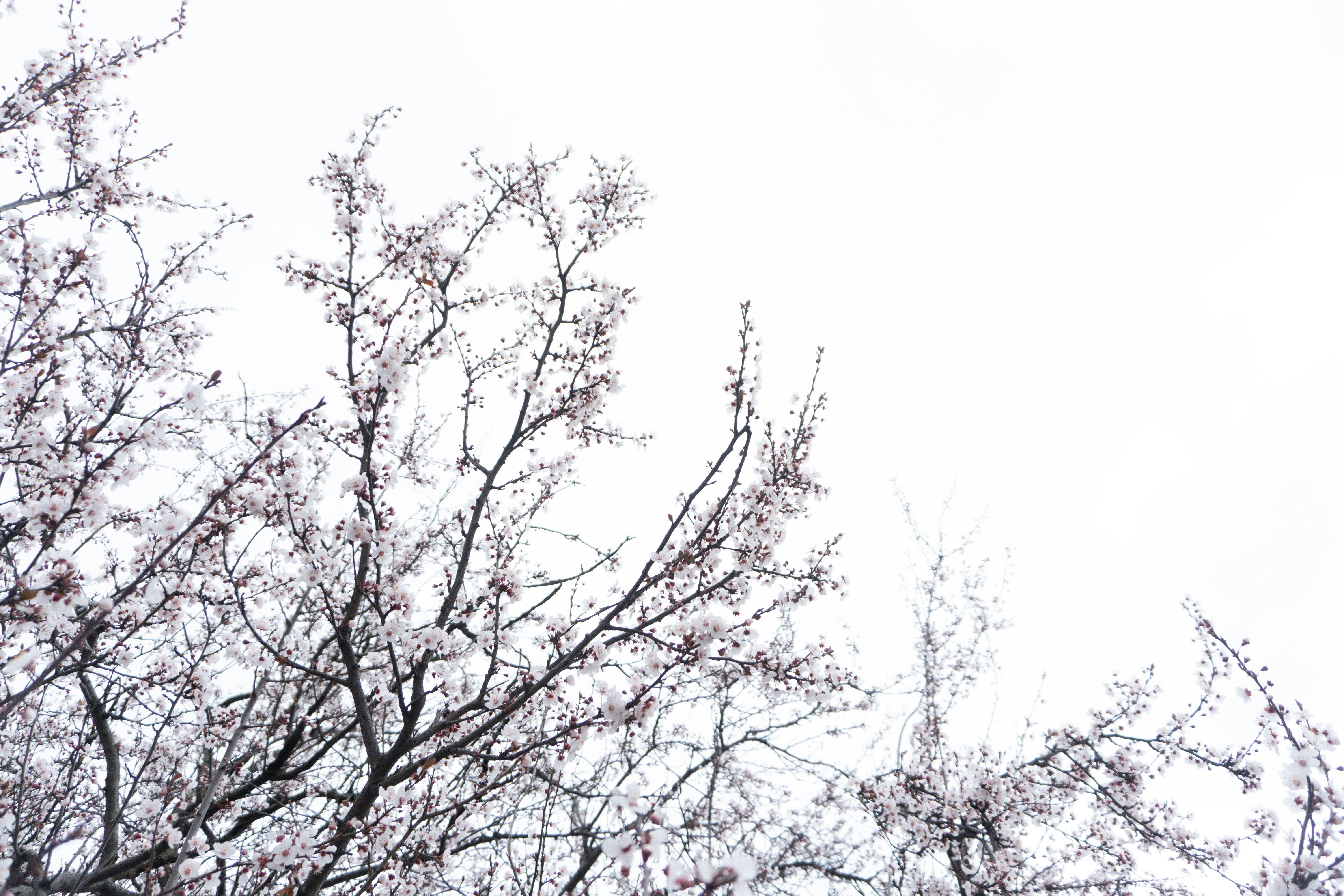 Photo by onurcanelma