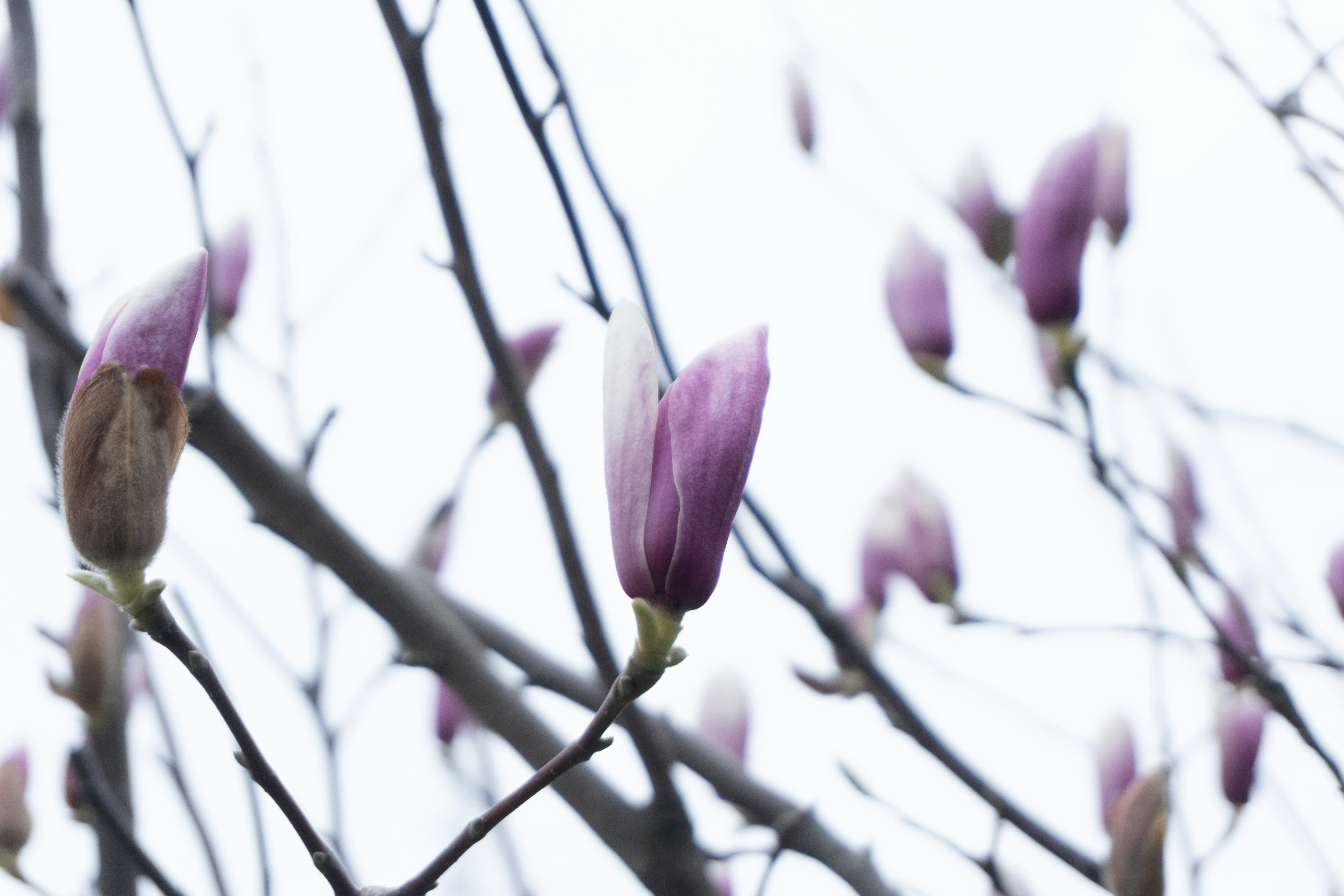 Photo by onurcanelma