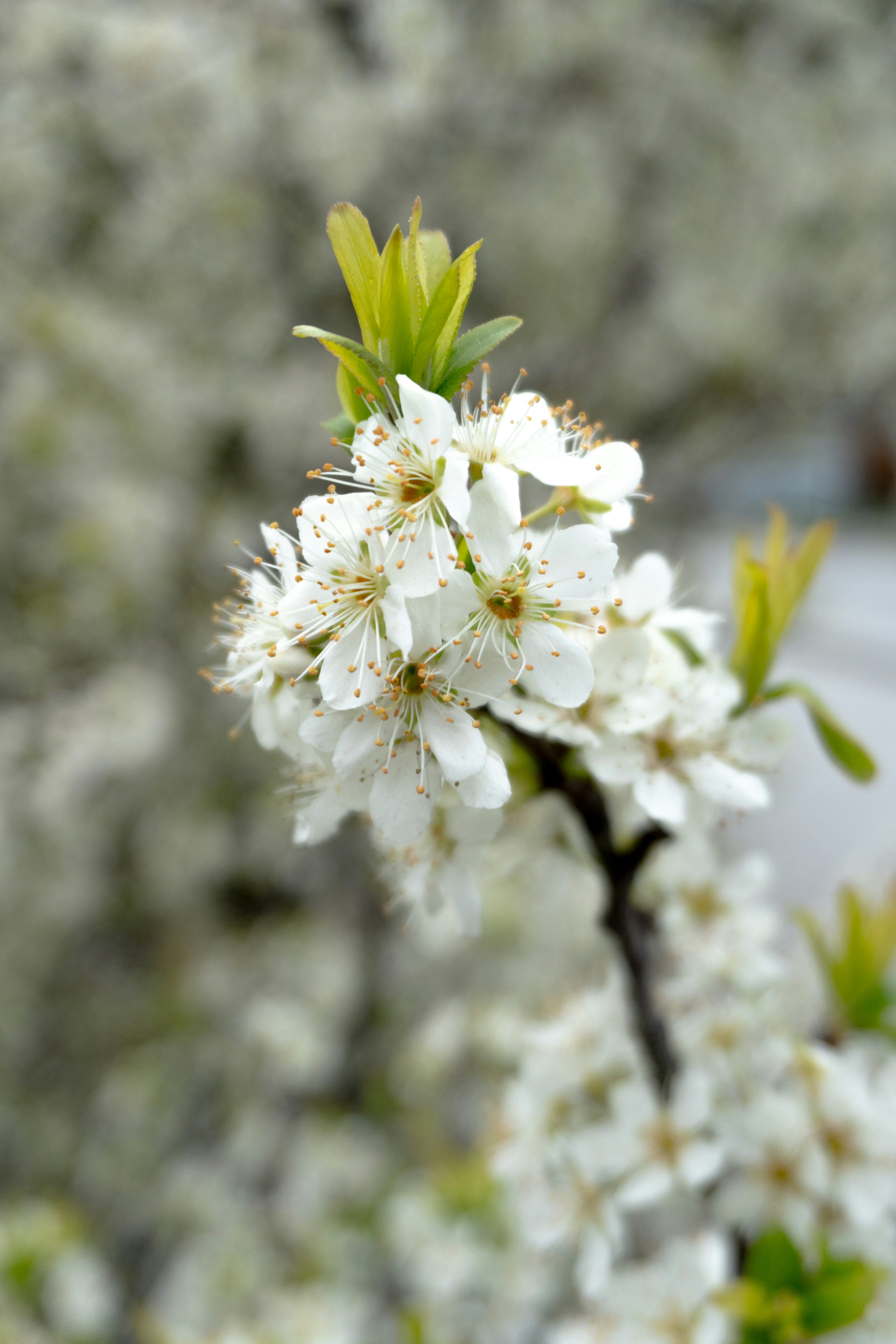 Photo by onurcanelma