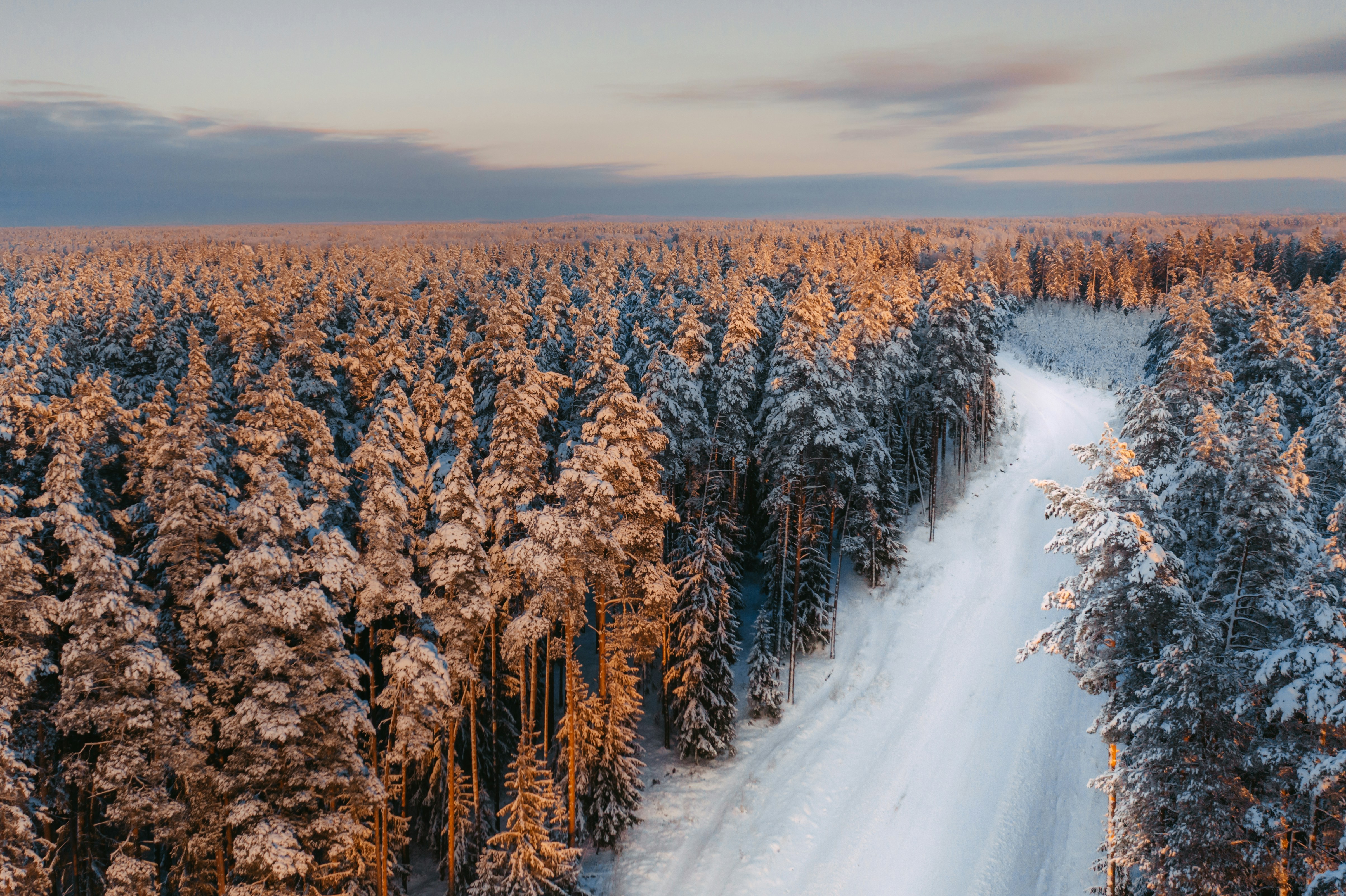 Snow covered forest with a road at sunrise