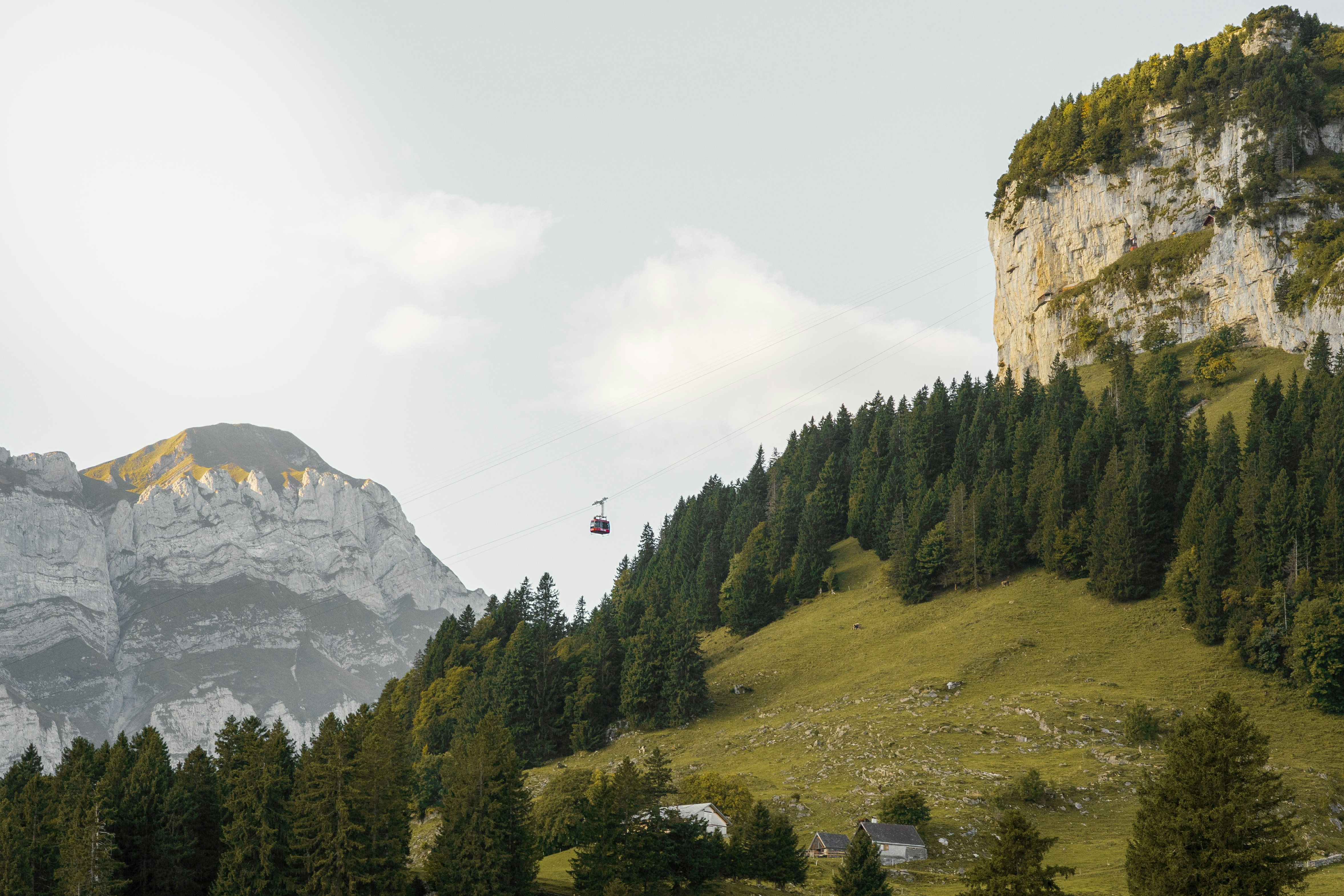 Photo by raw_capture_by