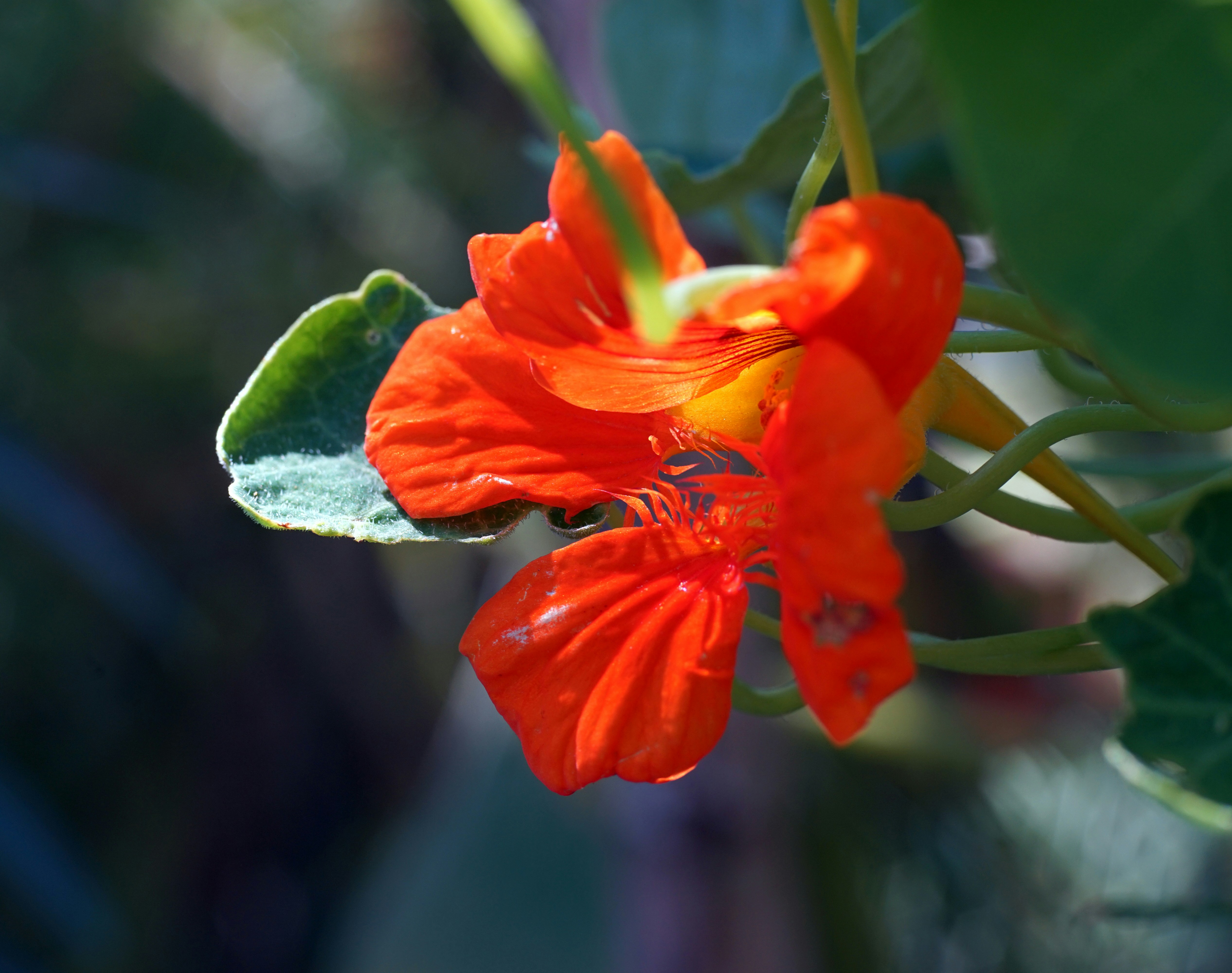 Photo by designschnecke