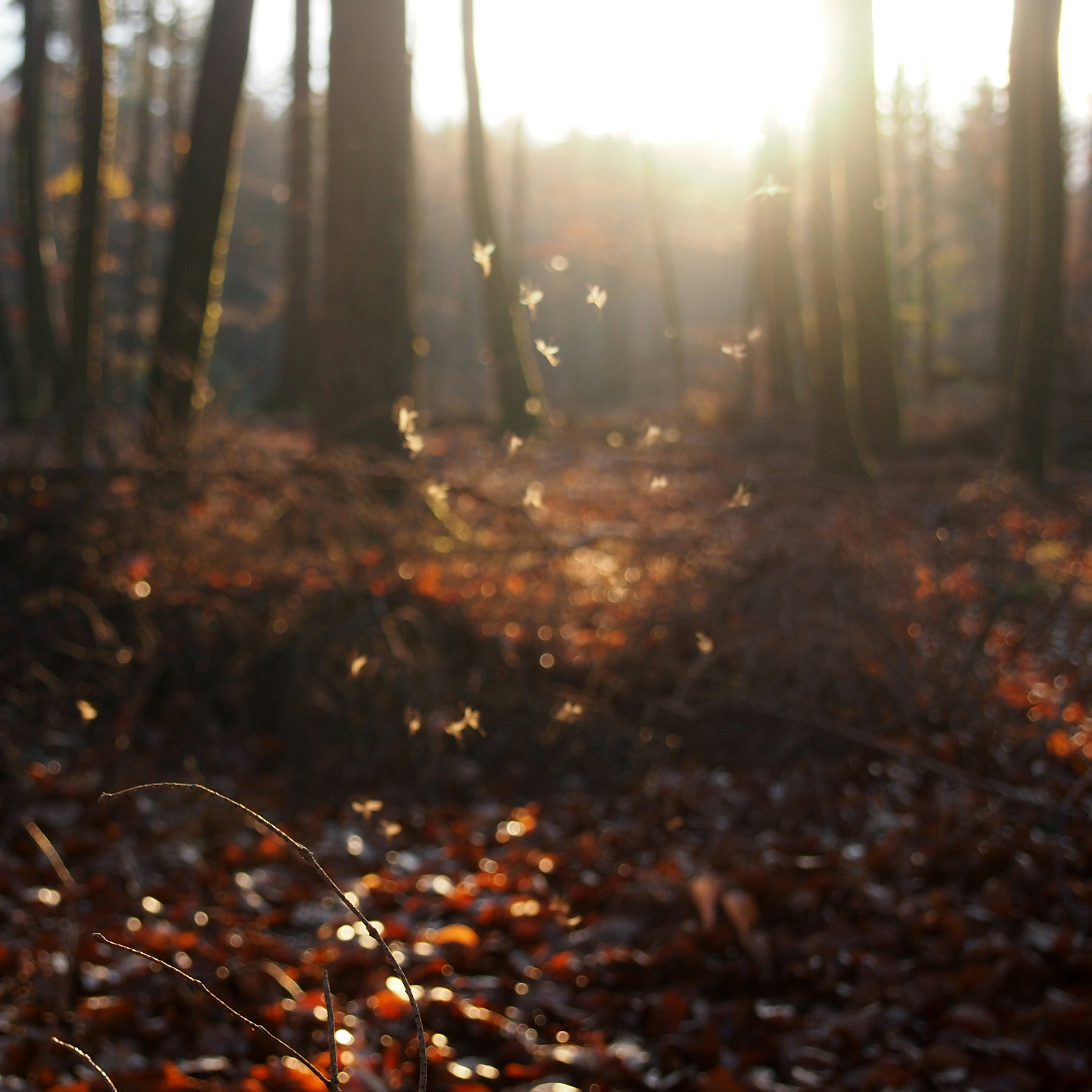 Photo by designschnecke