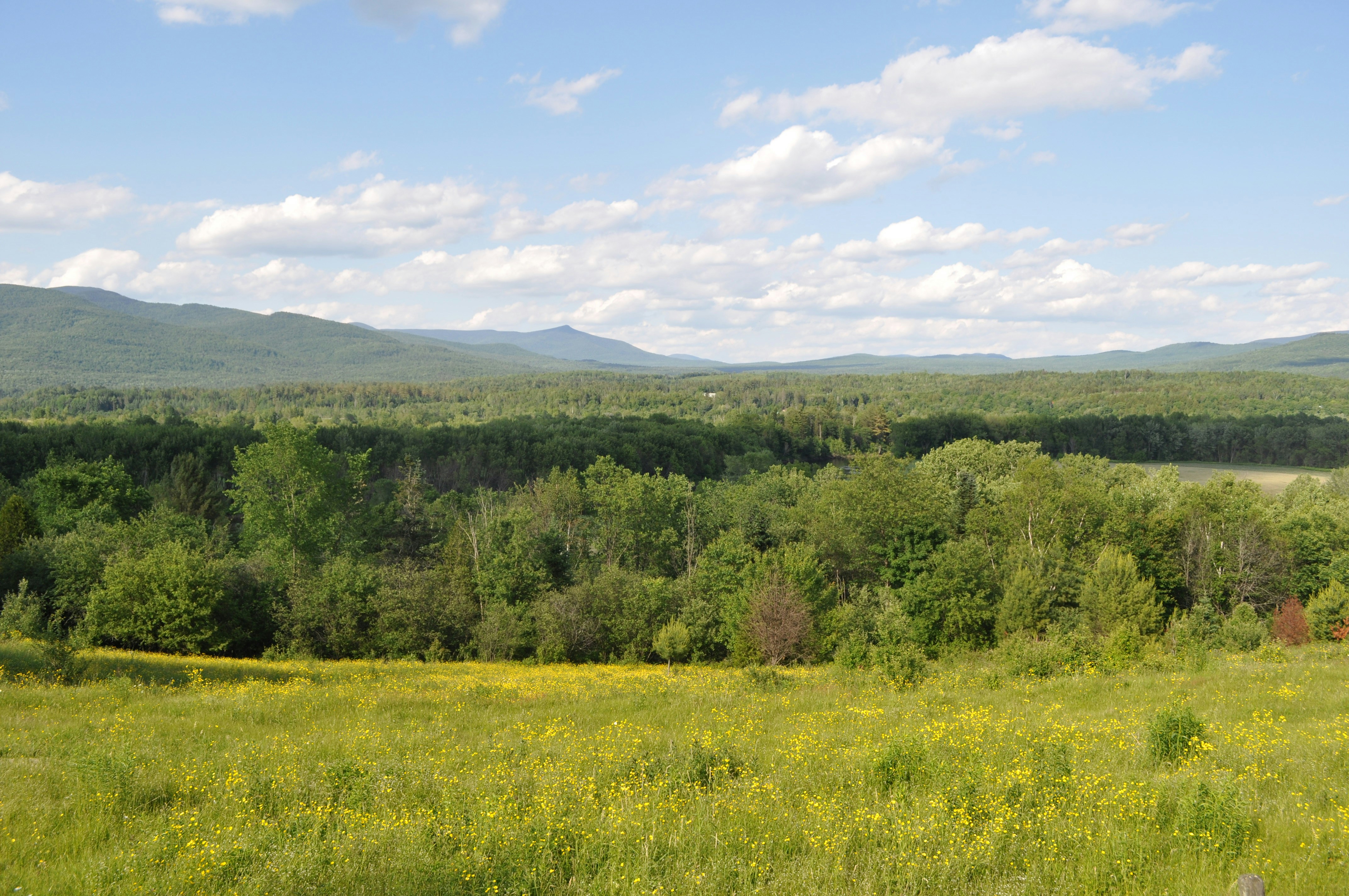 Photo by d_theriault1111