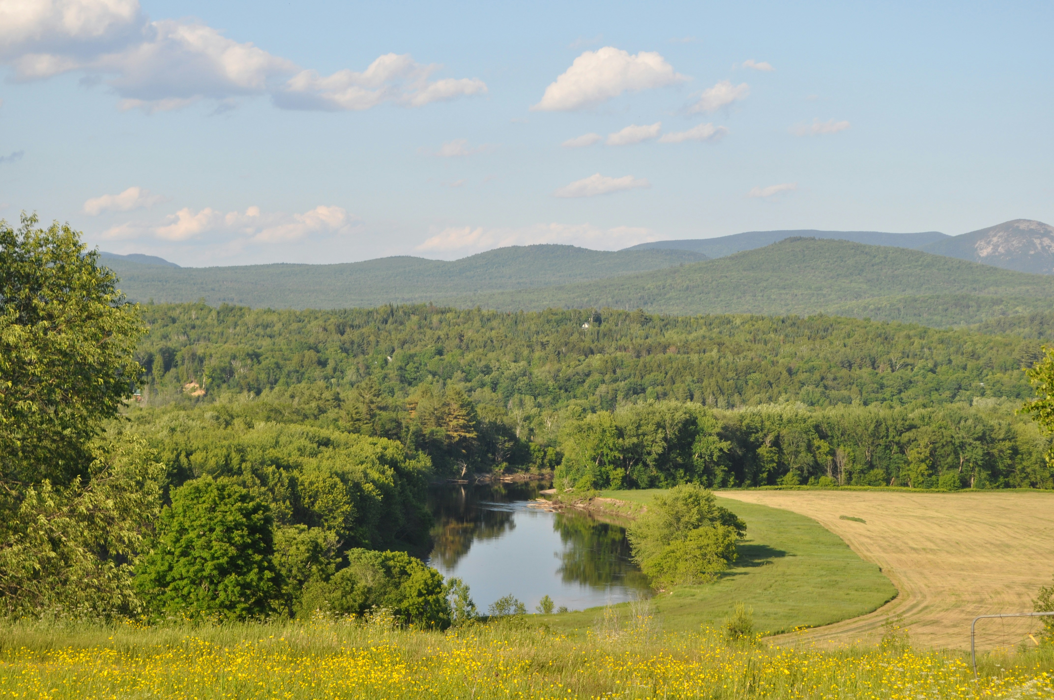 Photo by d_theriault1111