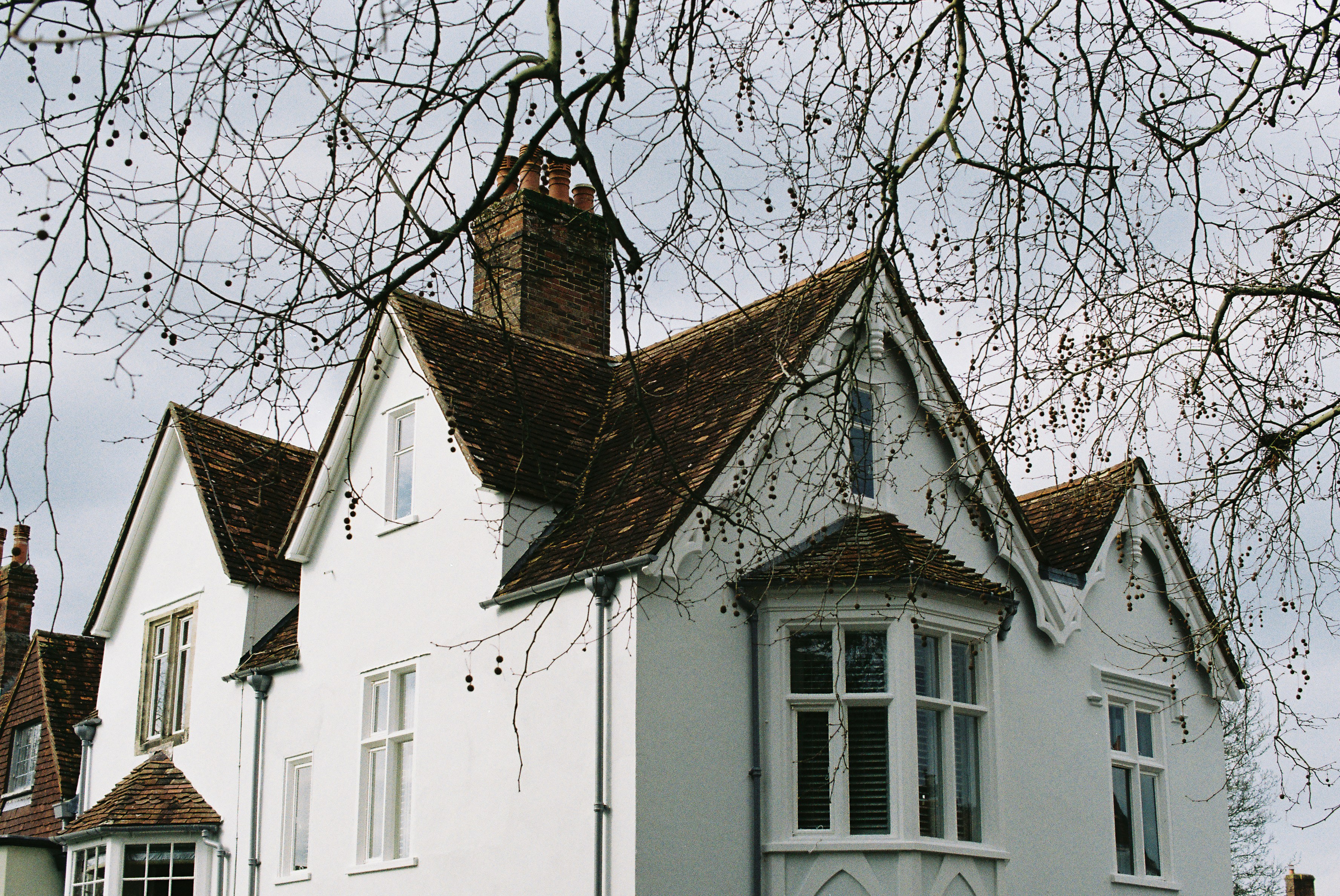 Photo by tanyabarrow