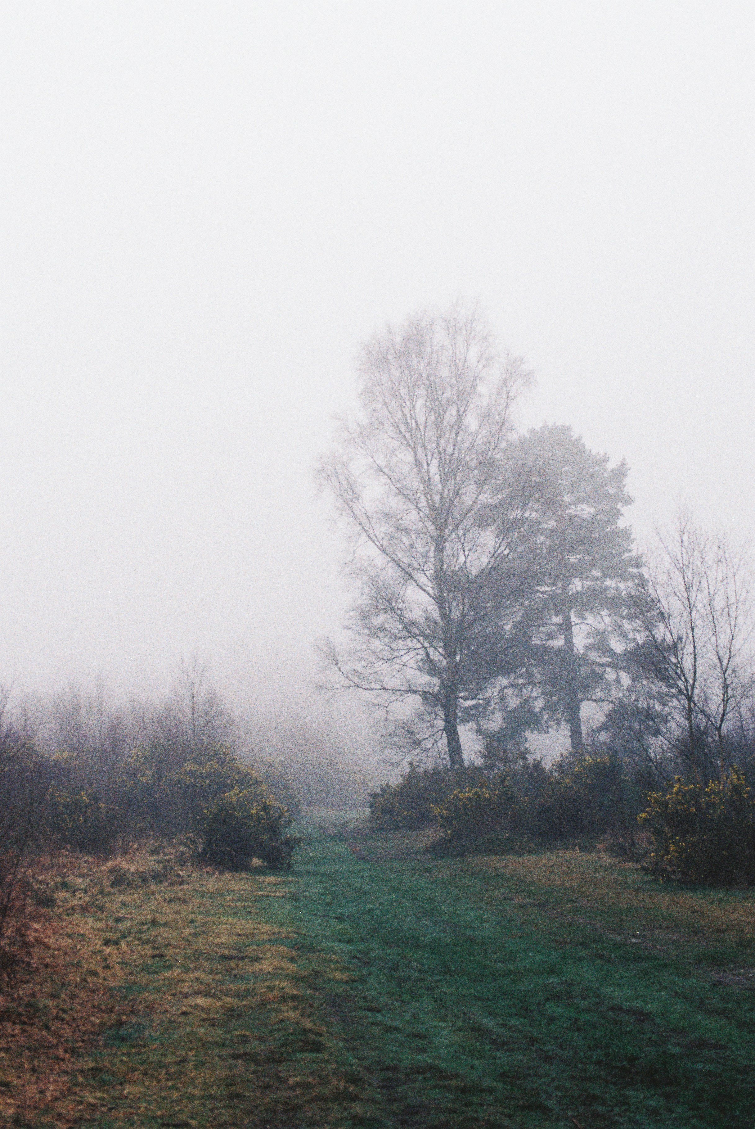 Photo by tanyabarrow