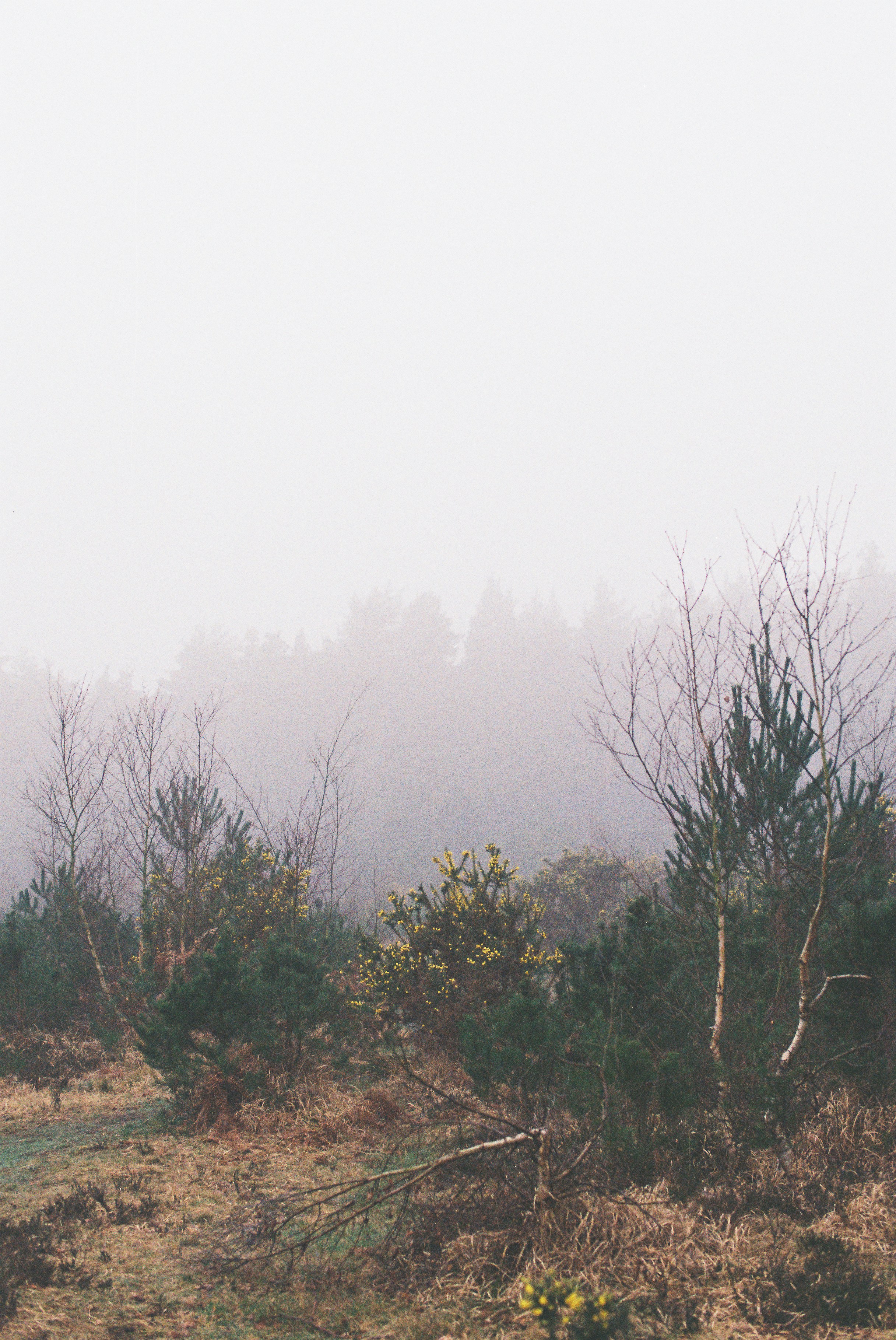 Photo by tanyabarrow