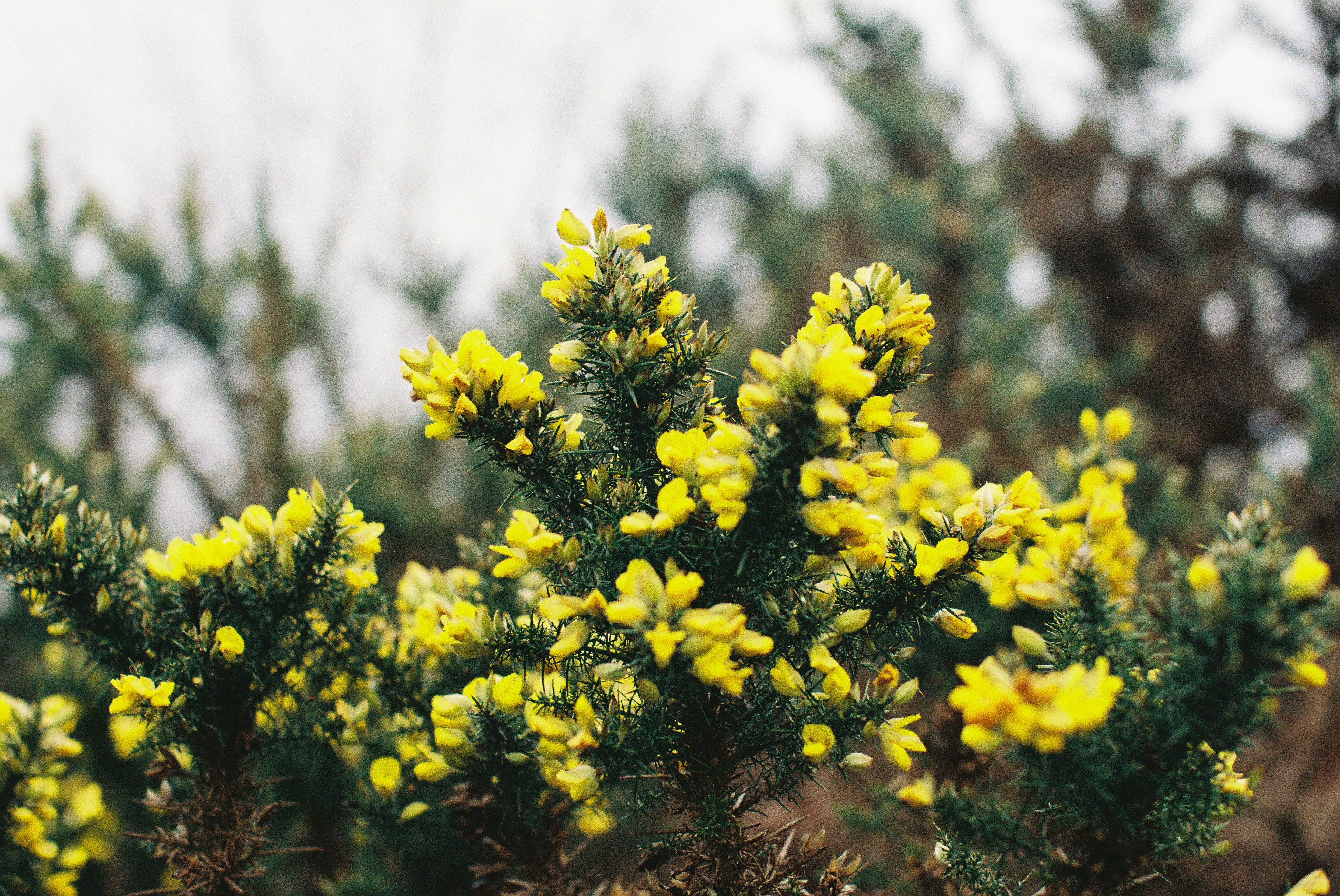 Photo by tanyabarrow