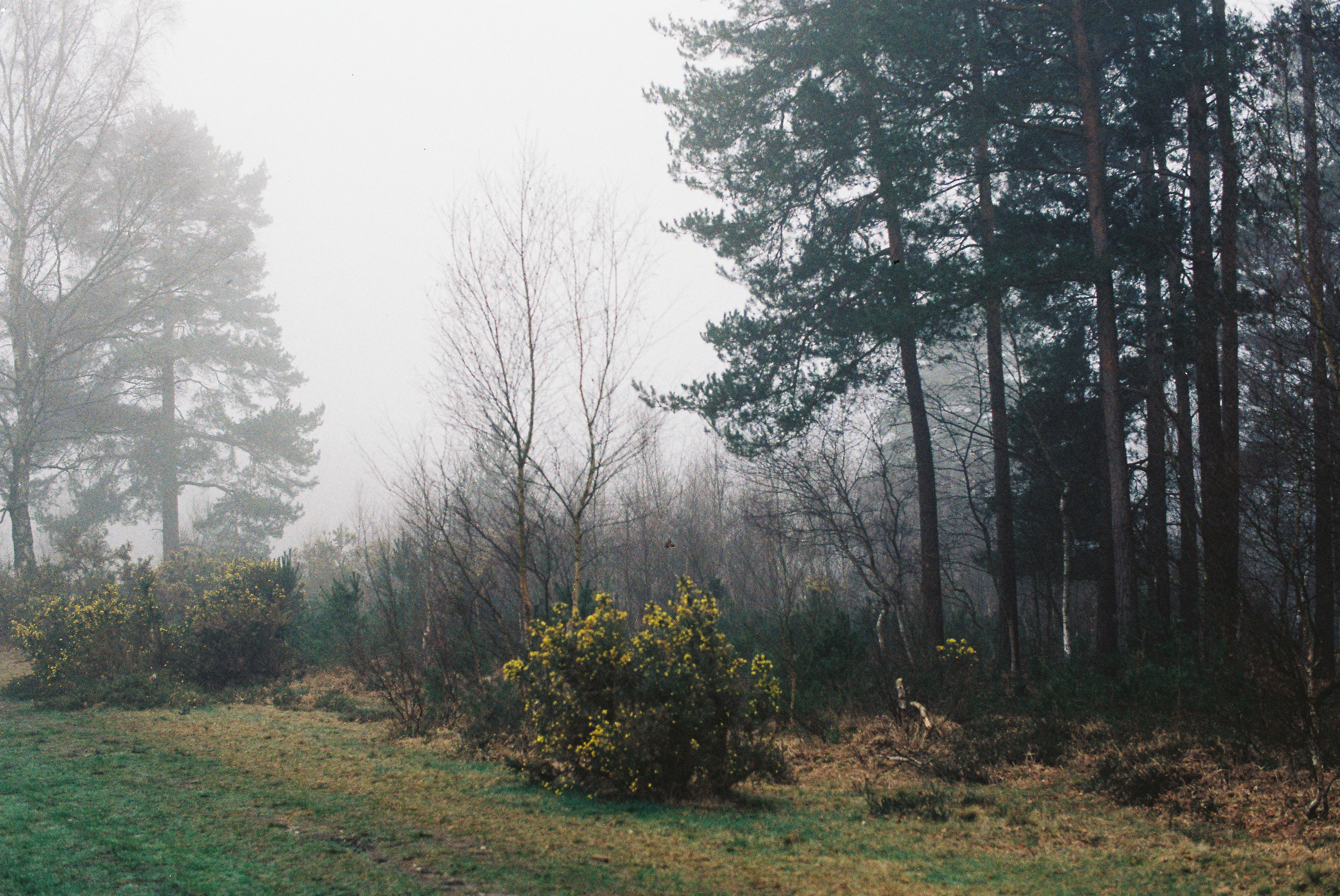 Photo by tanyabarrow