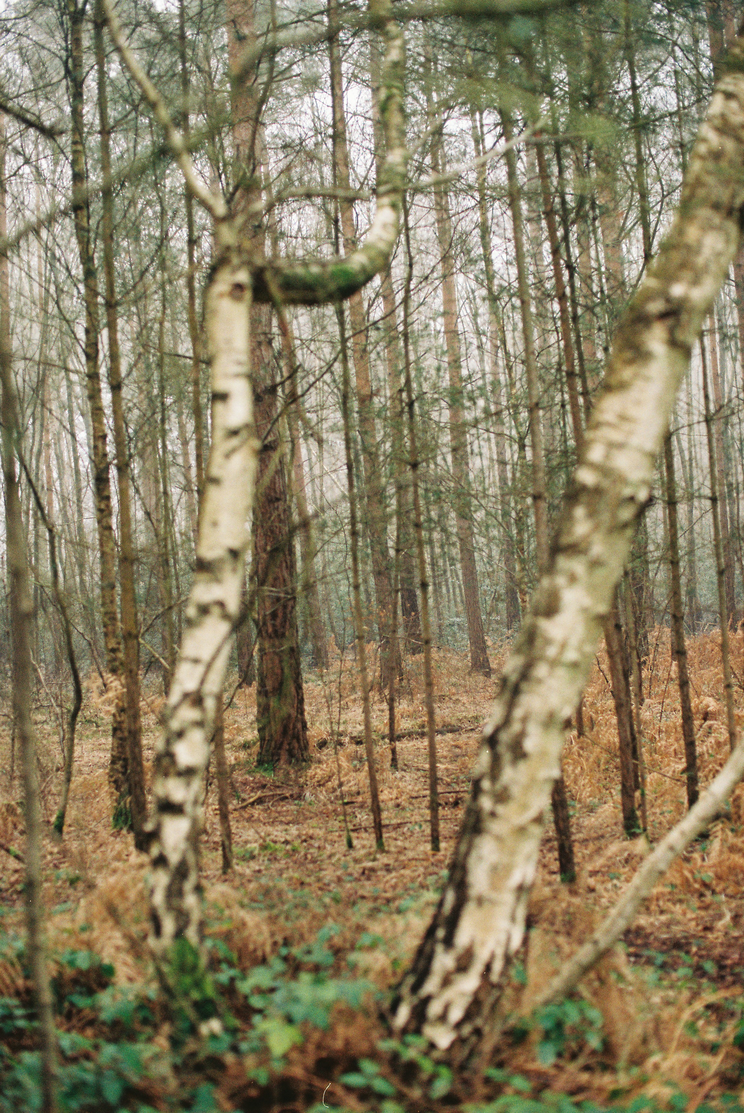 Photo by tanyabarrow