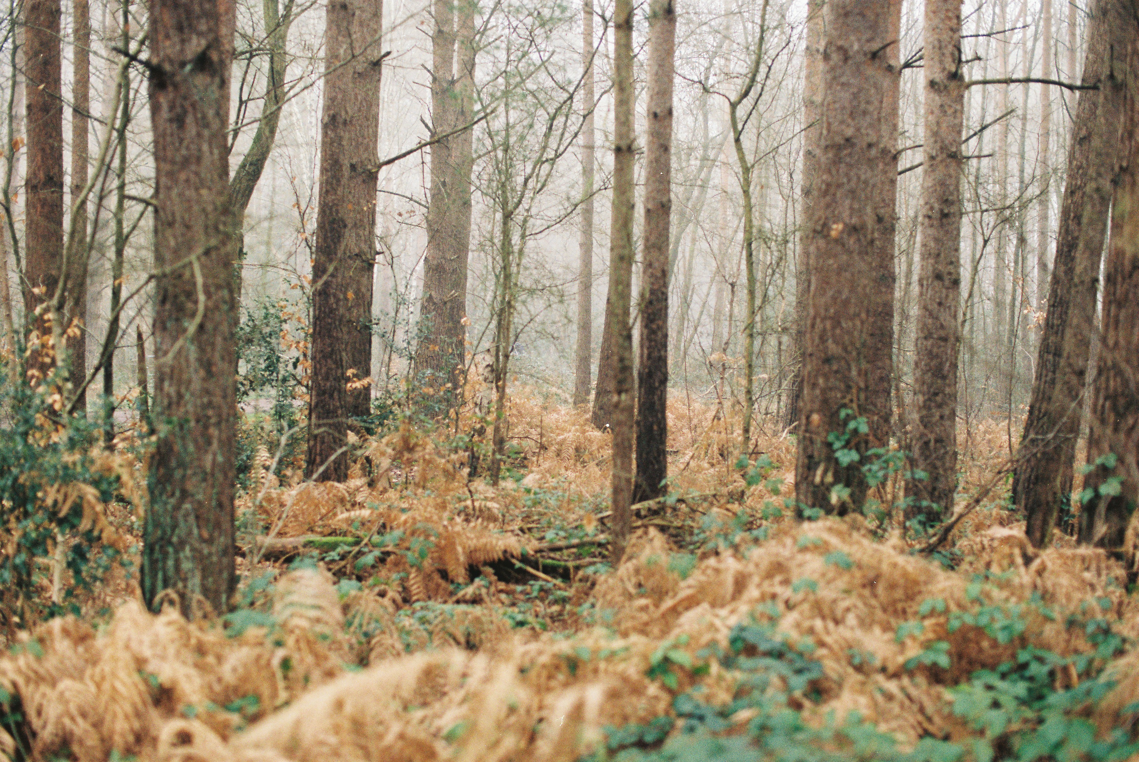 Photo by tanyabarrow