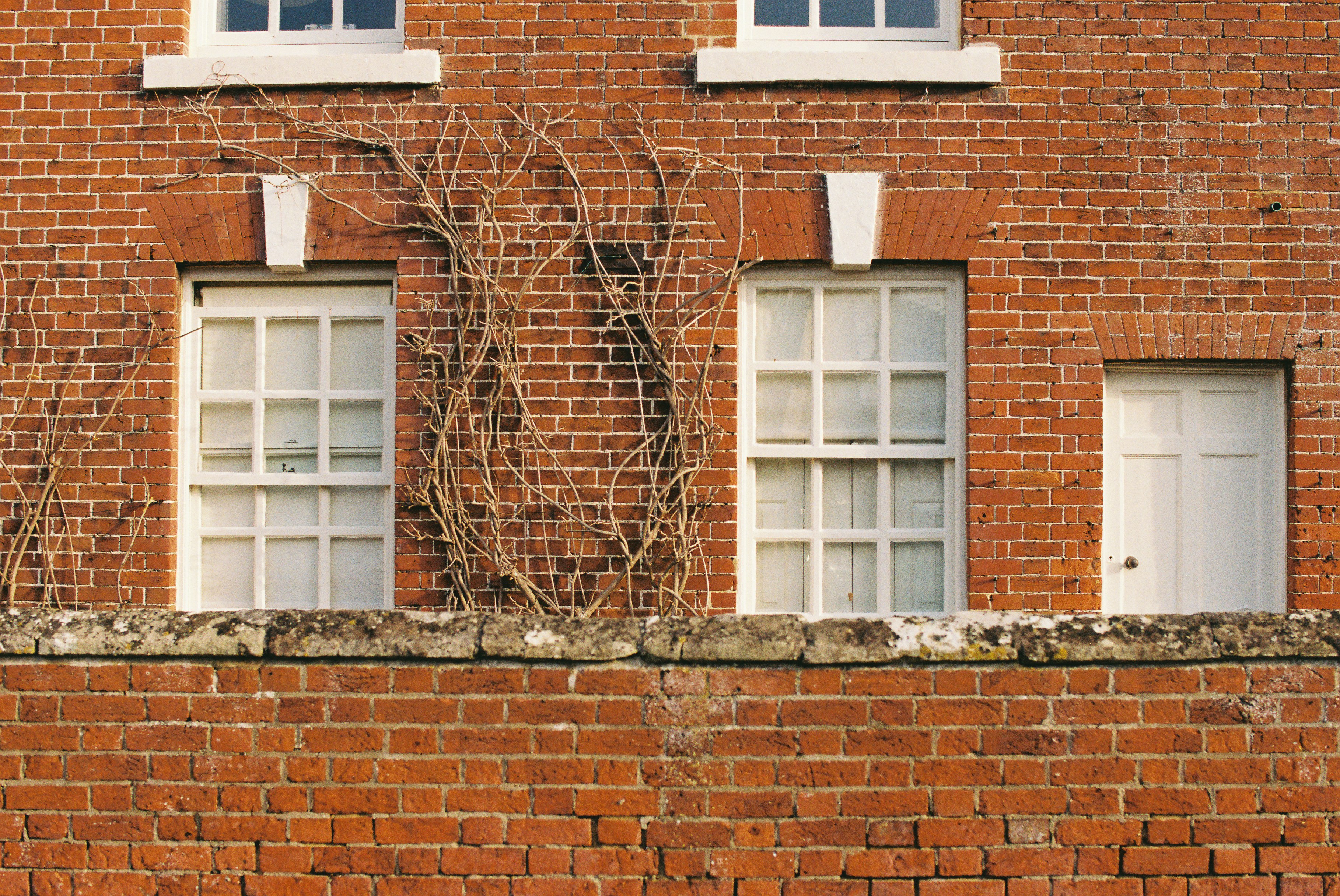 Photo by tanyabarrow