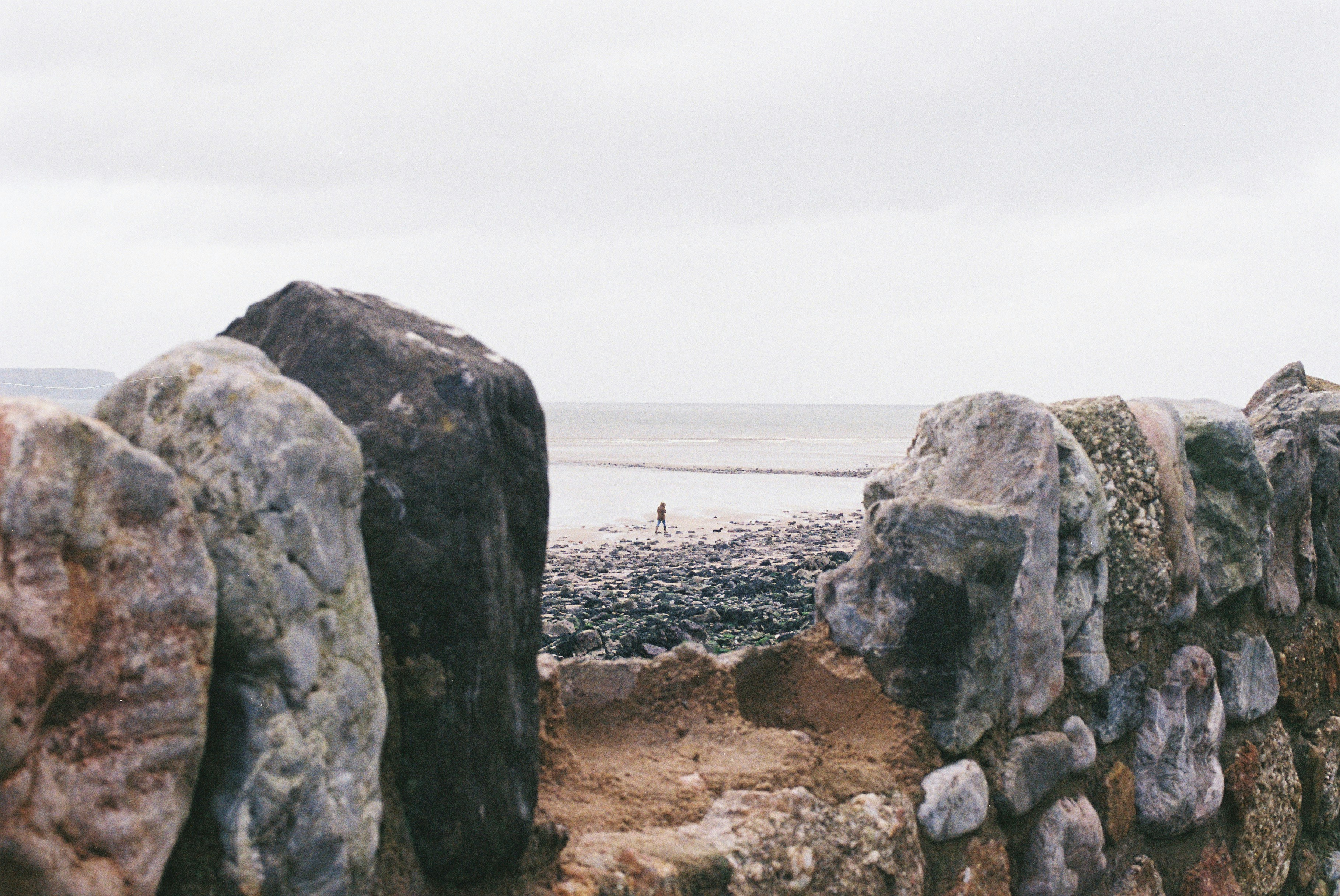 No.171 Tokenmaxxing 职场趋势、滥用条款和商业压力