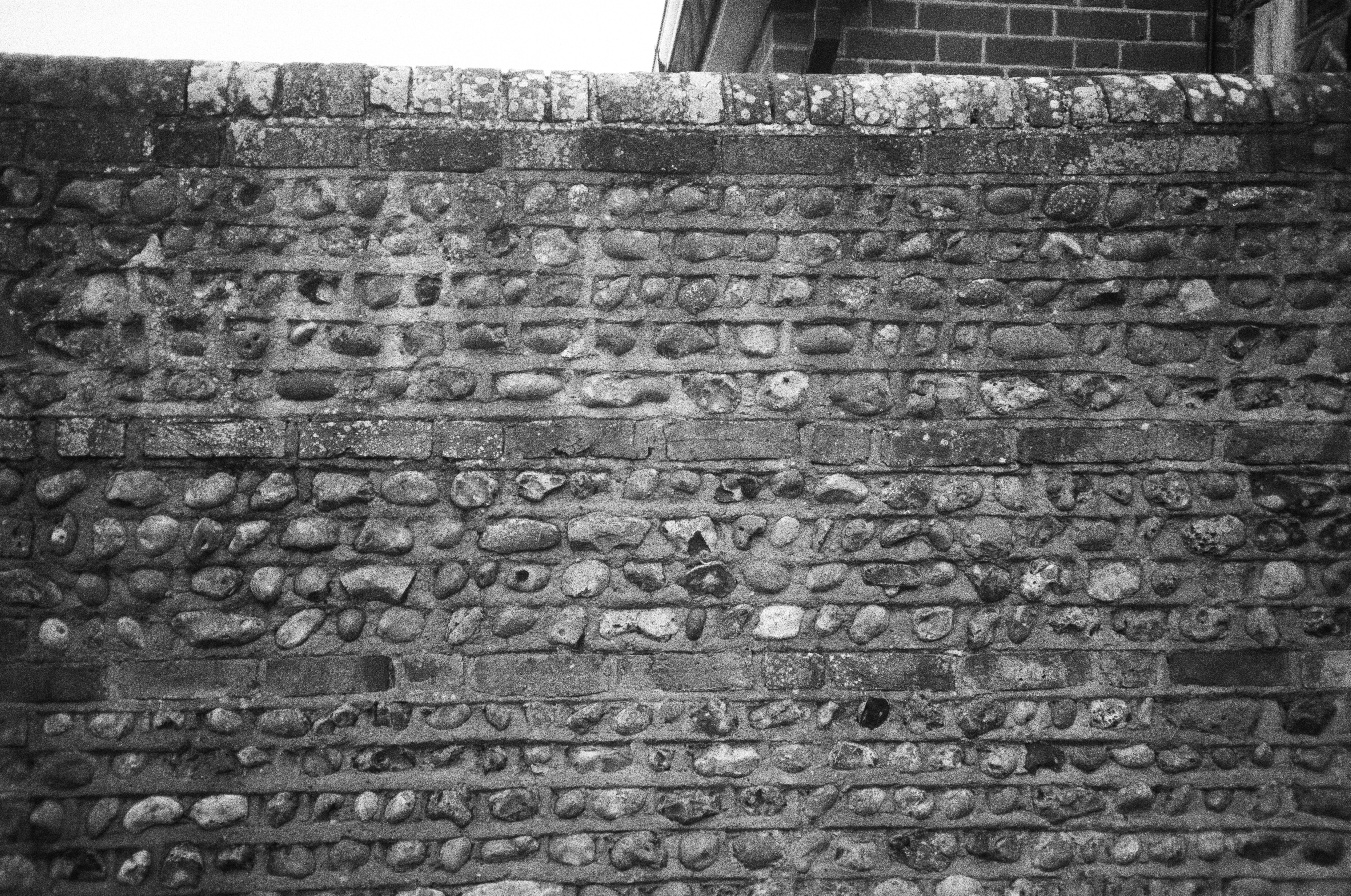 Photo by tanyabarrow