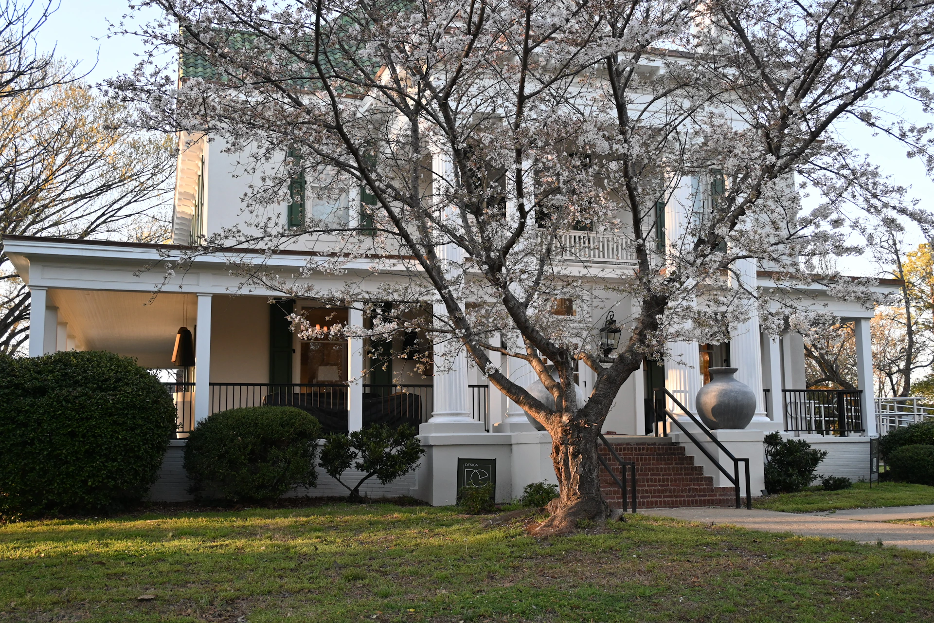 White victorian house with a large tree.