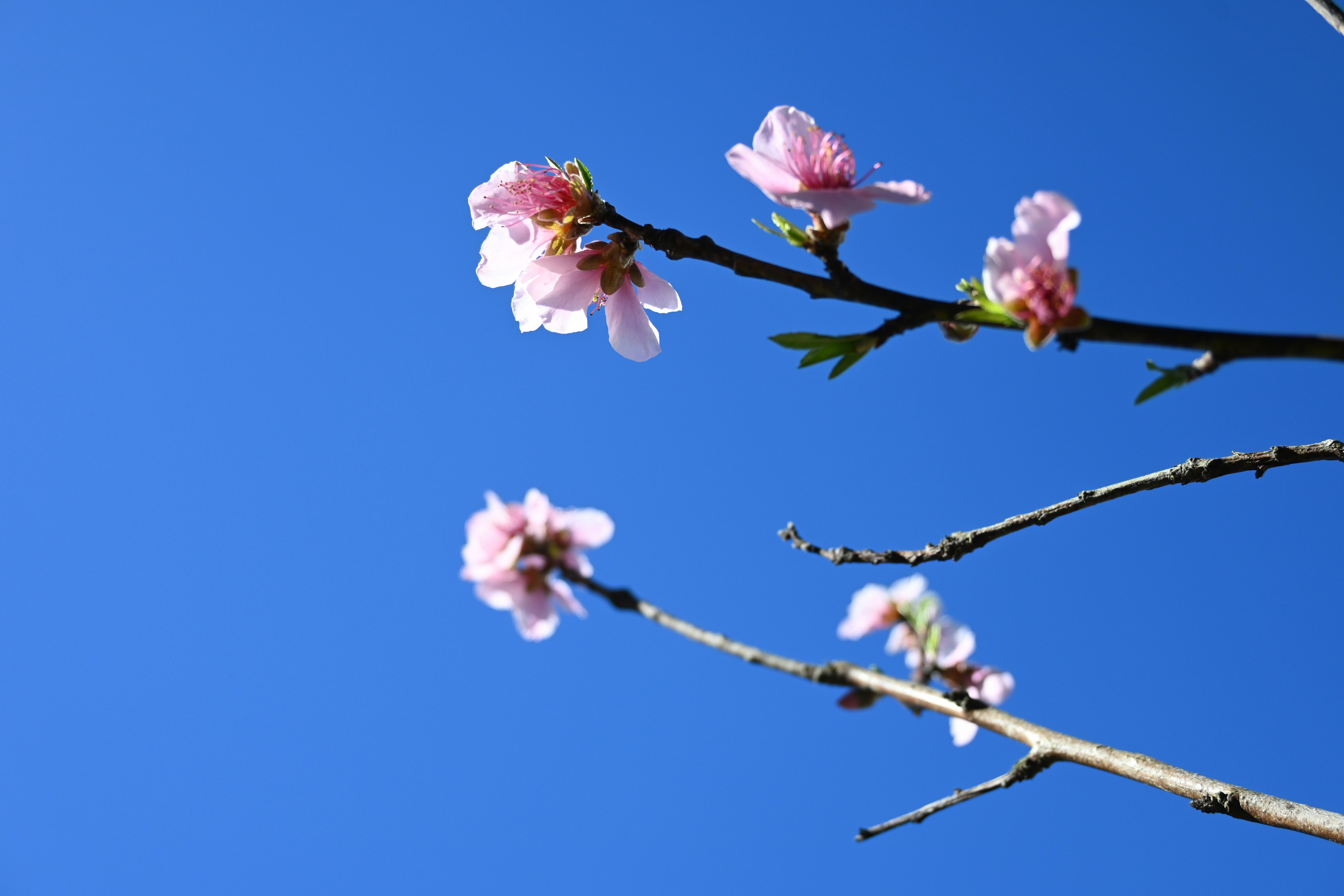 Photo by karolinabobek