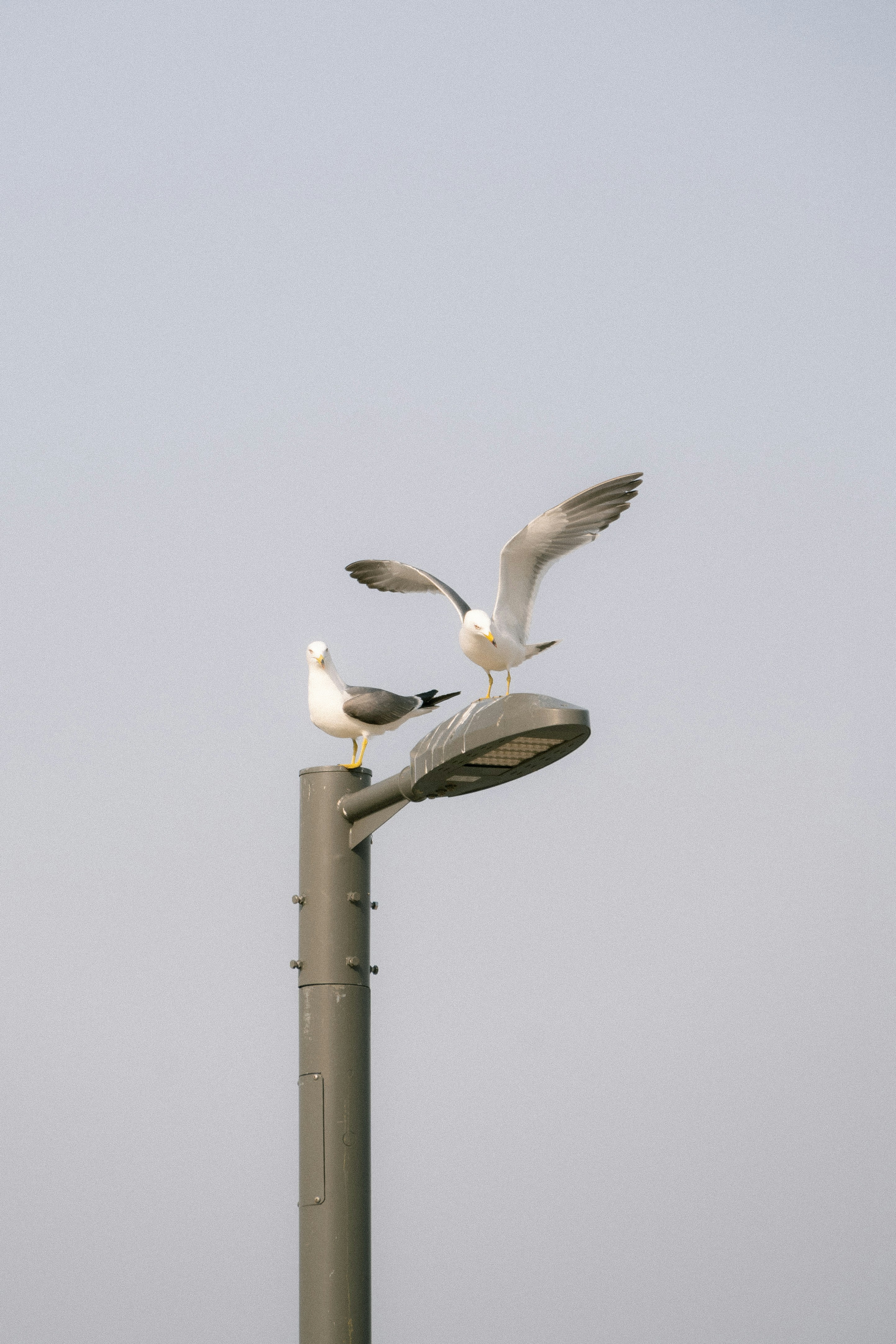 Photo by truly_film